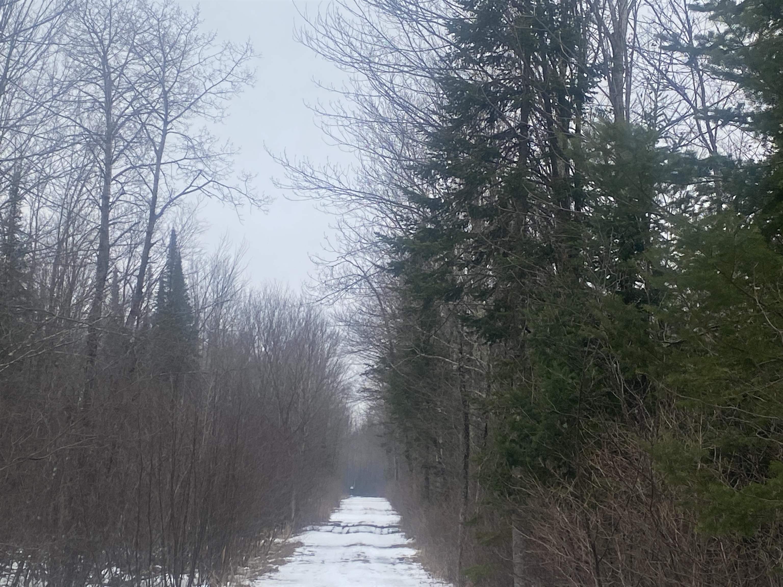 NEAR SPRING BROOK AVENUE, Merrill, Wisconsin 54452, ,Land,For Sale,NEAR SPRING BROOK AVENUE,22600361