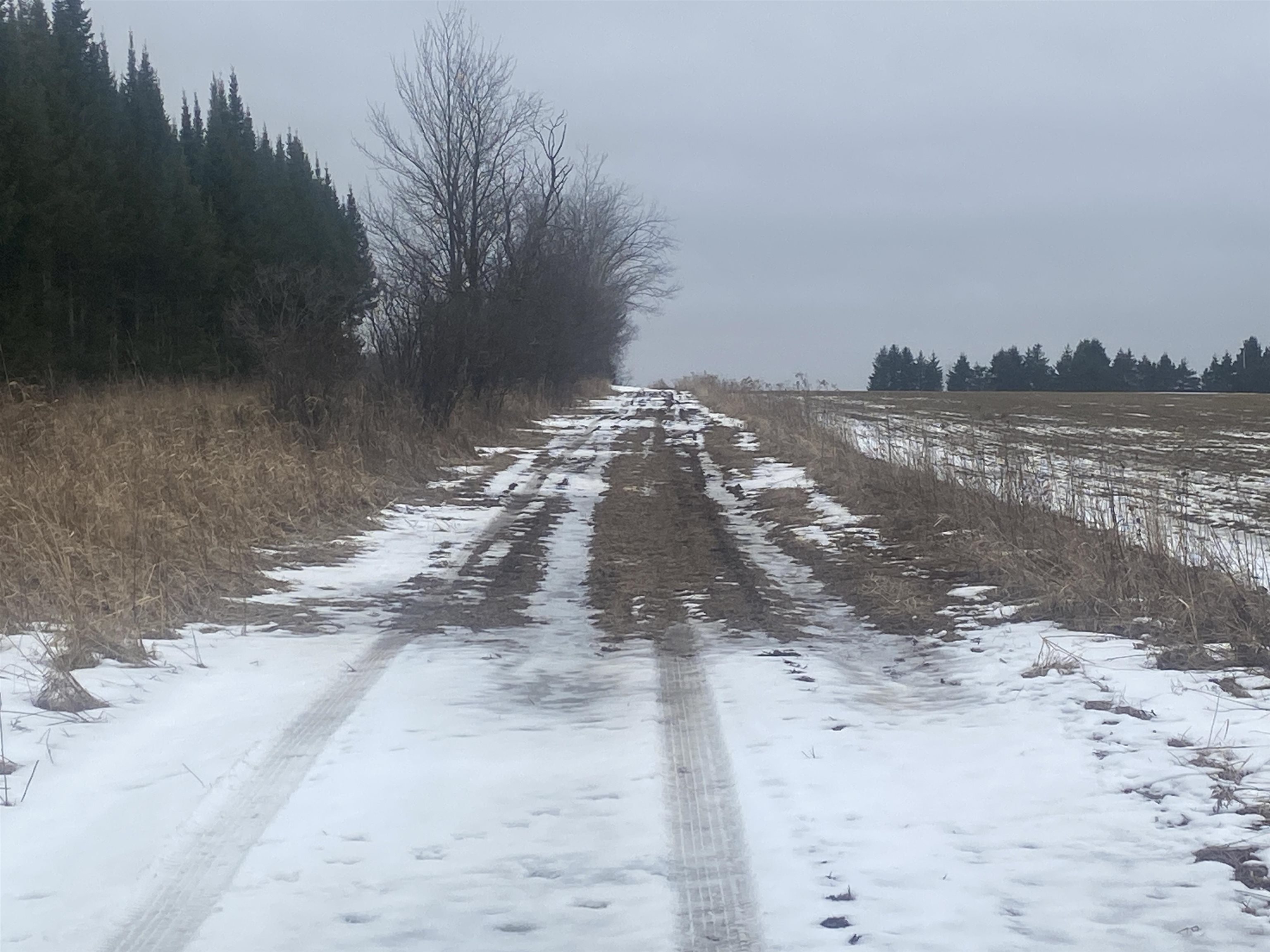 NEAR SPRING BROOK AVENUE, Merrill, Wisconsin 54452, ,Land,For Sale,NEAR SPRING BROOK AVENUE,22600361