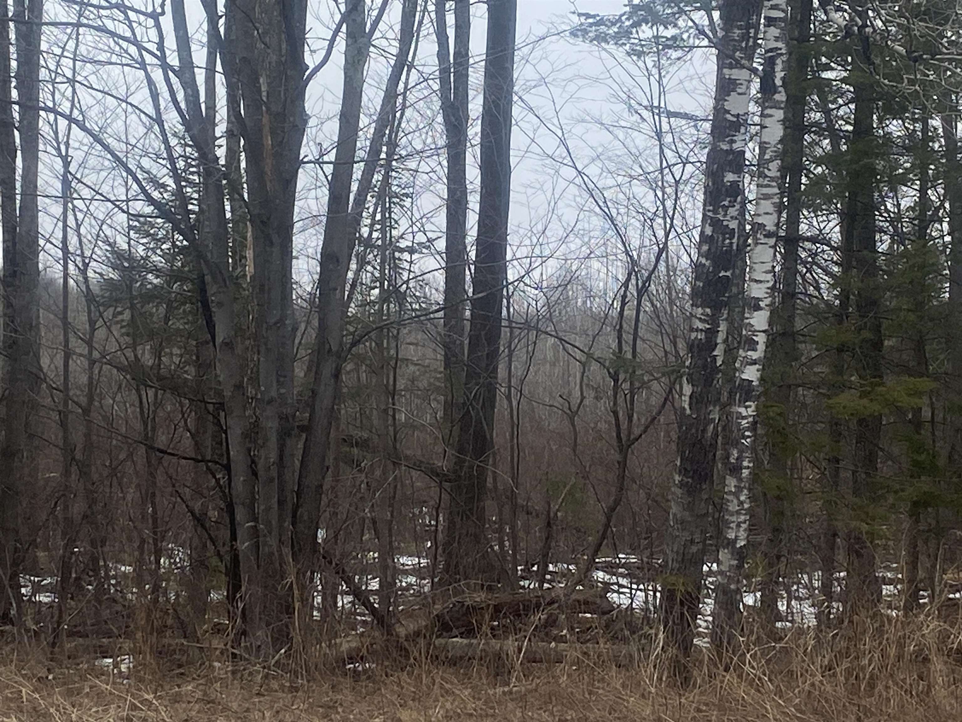 ON STATE HIGHWAY 64, Merrill, Wisconsin 54452, ,Land,For Sale,ON STATE HIGHWAY 64,22600363