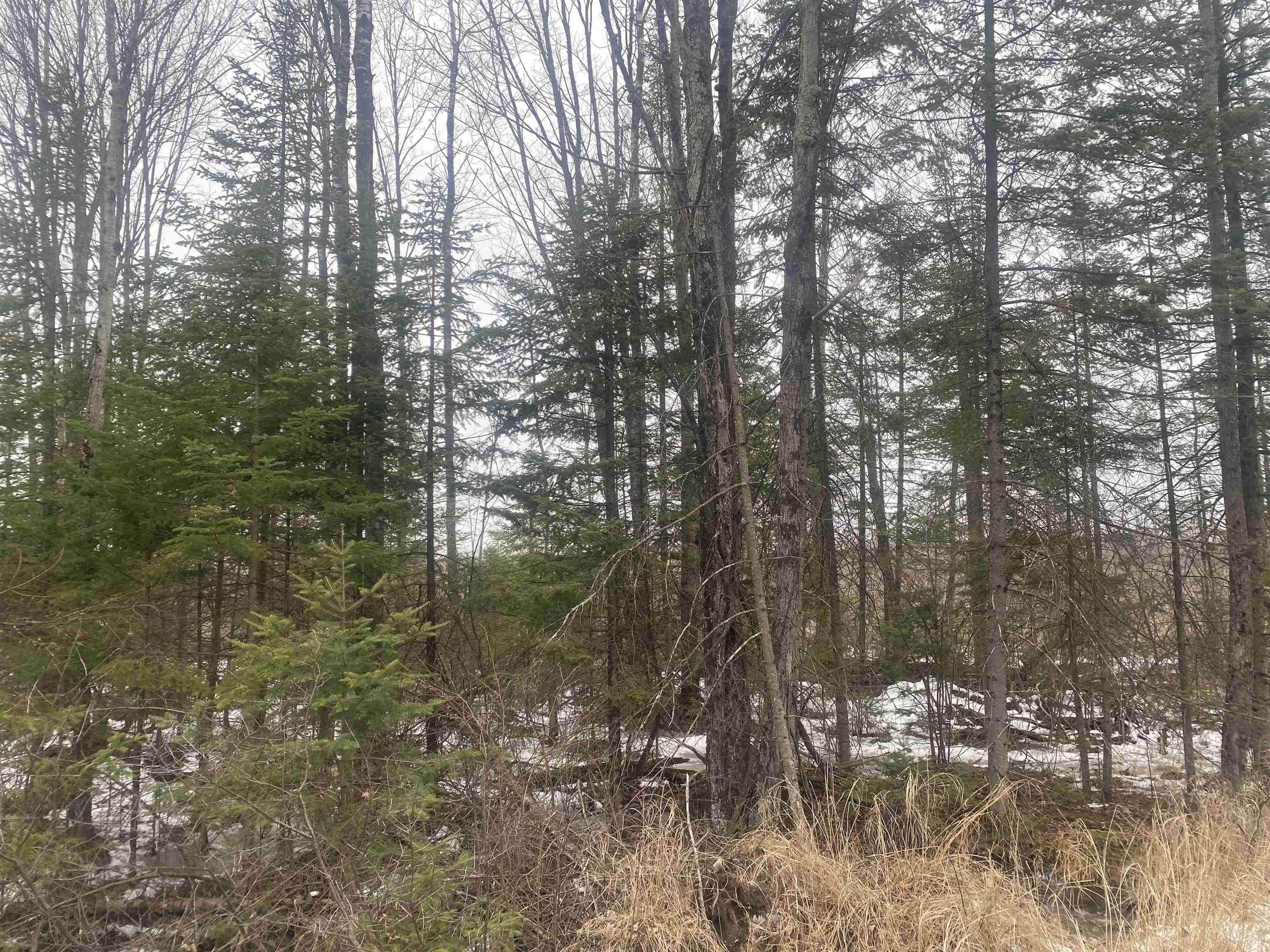 ON STATE HIGHWAY 64, Merrill, Wisconsin 54452, ,Land,For Sale,ON STATE HIGHWAY 64,22600363