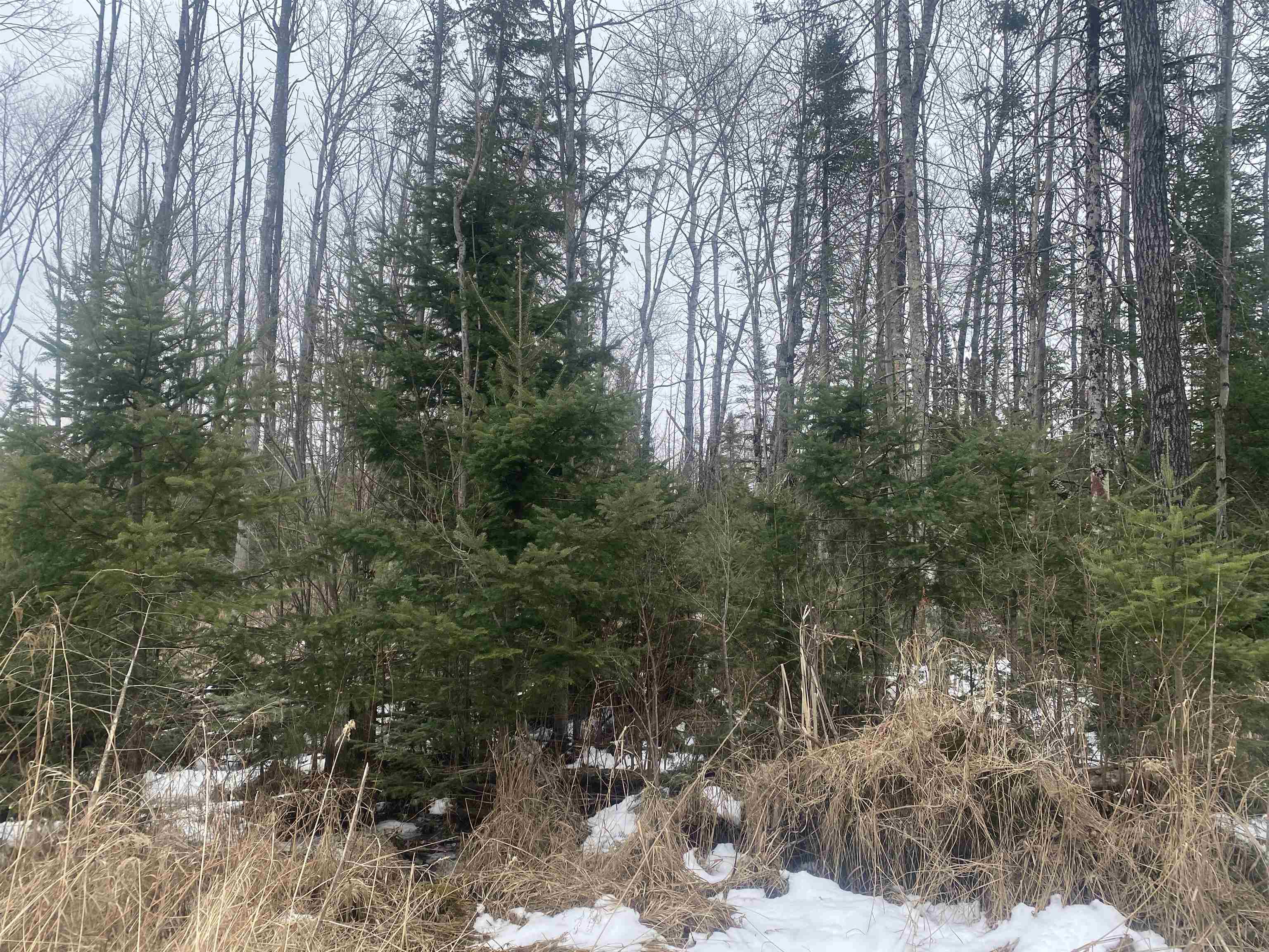 ON STATE HIGHWAY 64, Merrill, Wisconsin 54452, ,Land,For Sale,ON STATE HIGHWAY 64,22600364