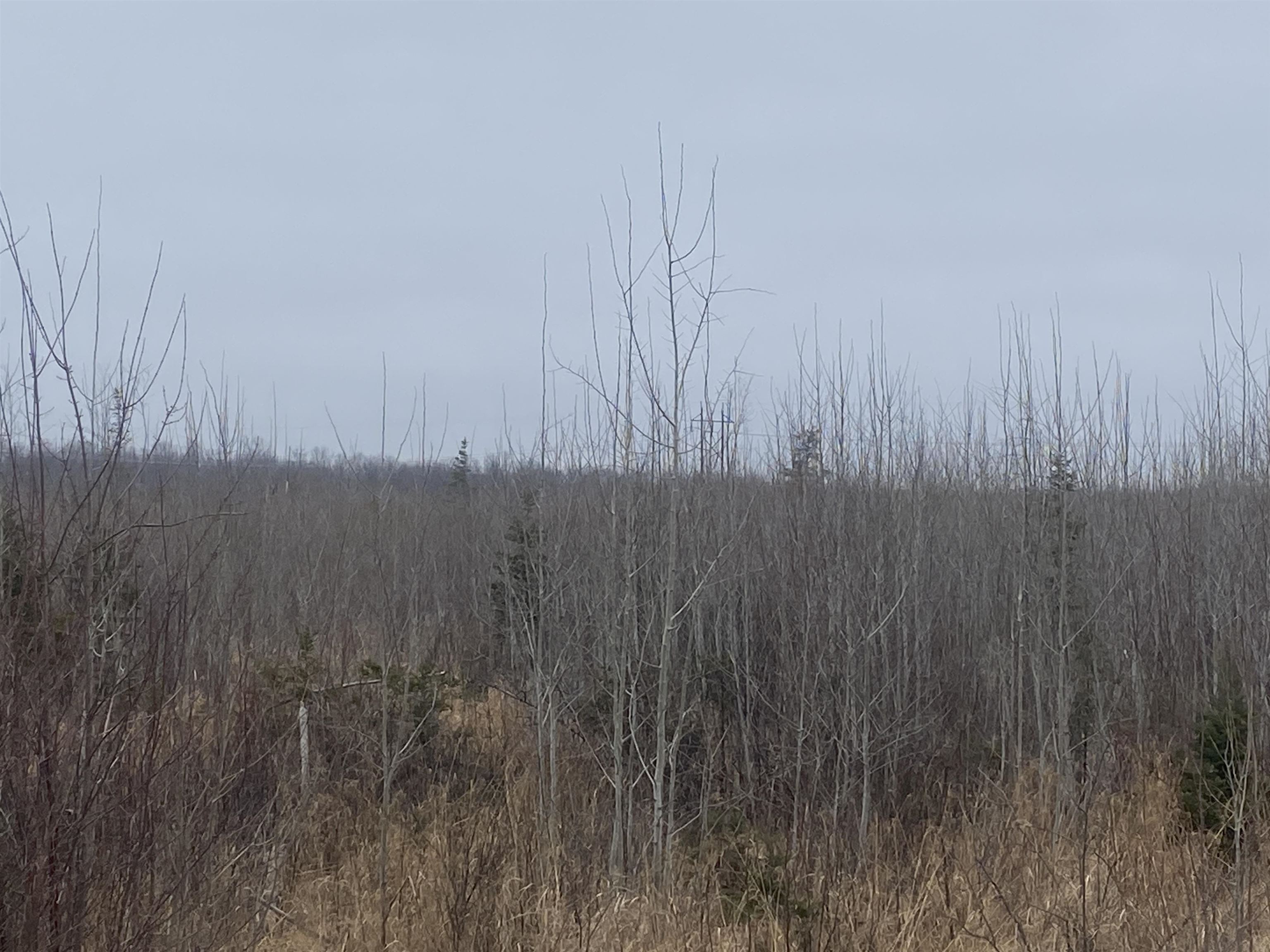 ON STATE HIGHWAY 64, Merrill, Wisconsin 54452, ,Land,For Sale,ON STATE HIGHWAY 64,22600364