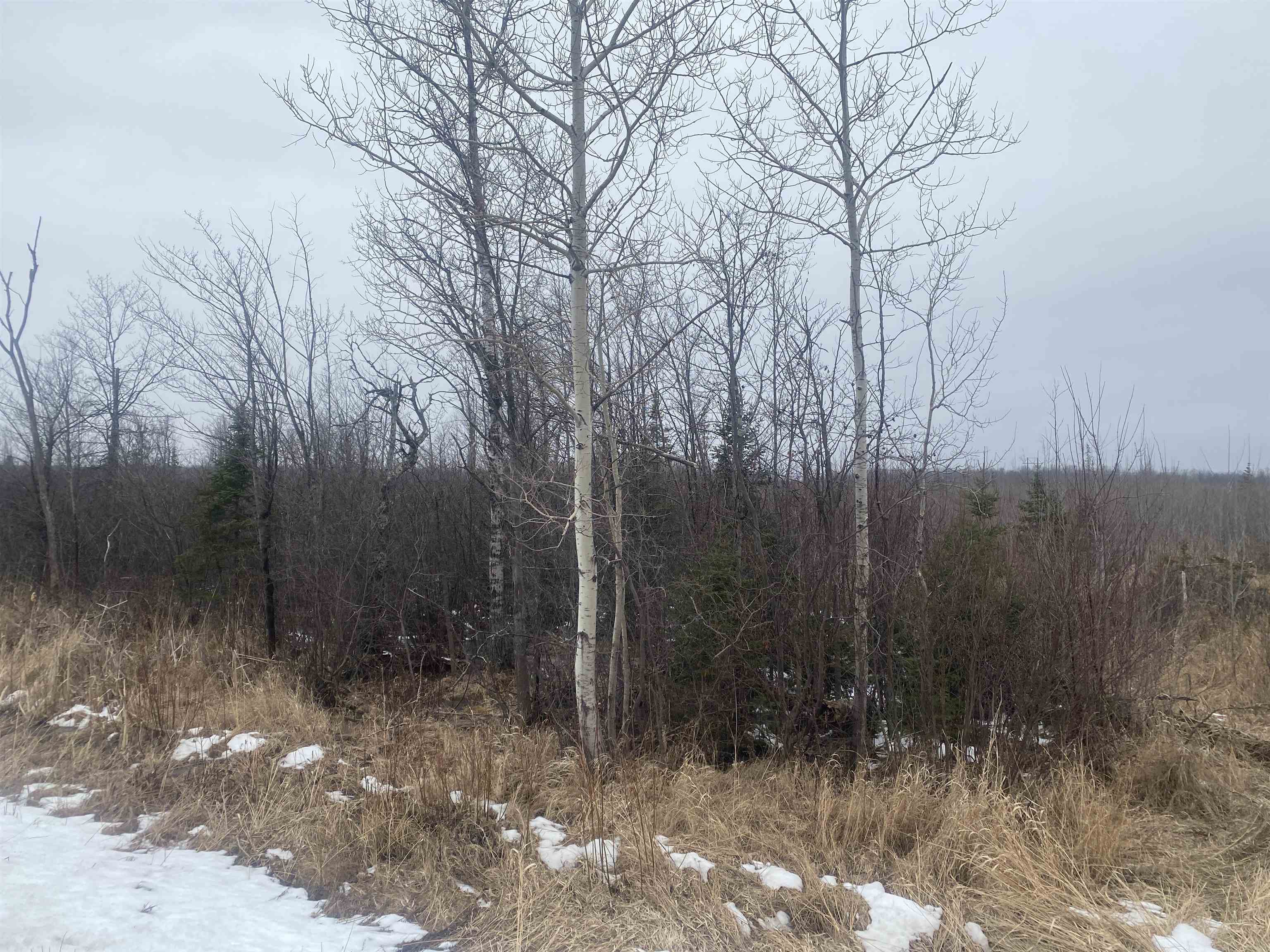 ON STATE HIGHWAY 64, Merrill, Wisconsin 54452, ,Land,For Sale,ON STATE HIGHWAY 64,22600364