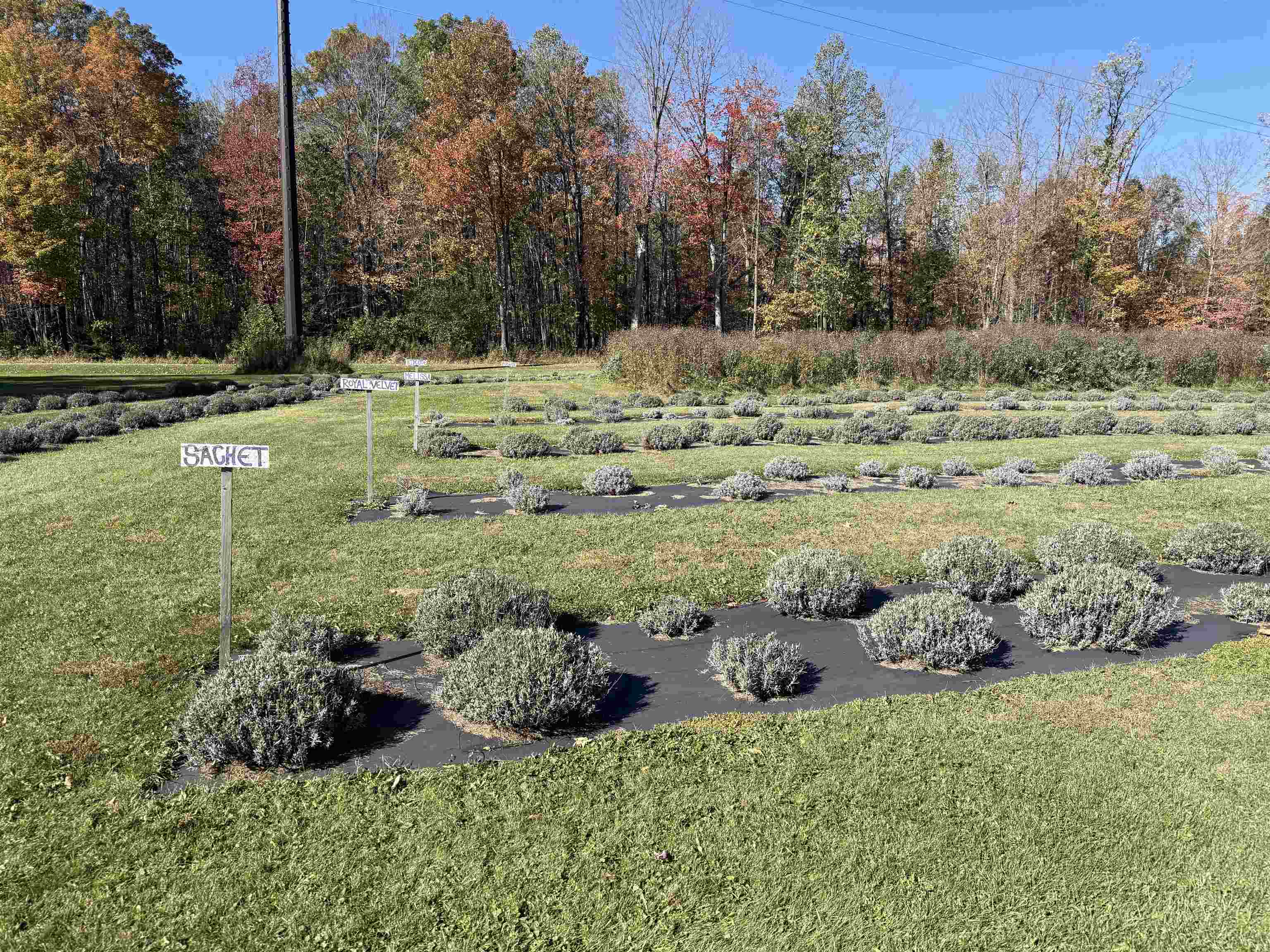 W6098 E STELLING ROAD, Tomahawk, Wisconsin 54487, 2 Bedrooms Bedrooms, ,1 BathroomBathrooms,Residential,For Sale,W6098 E STELLING ROAD,22600370