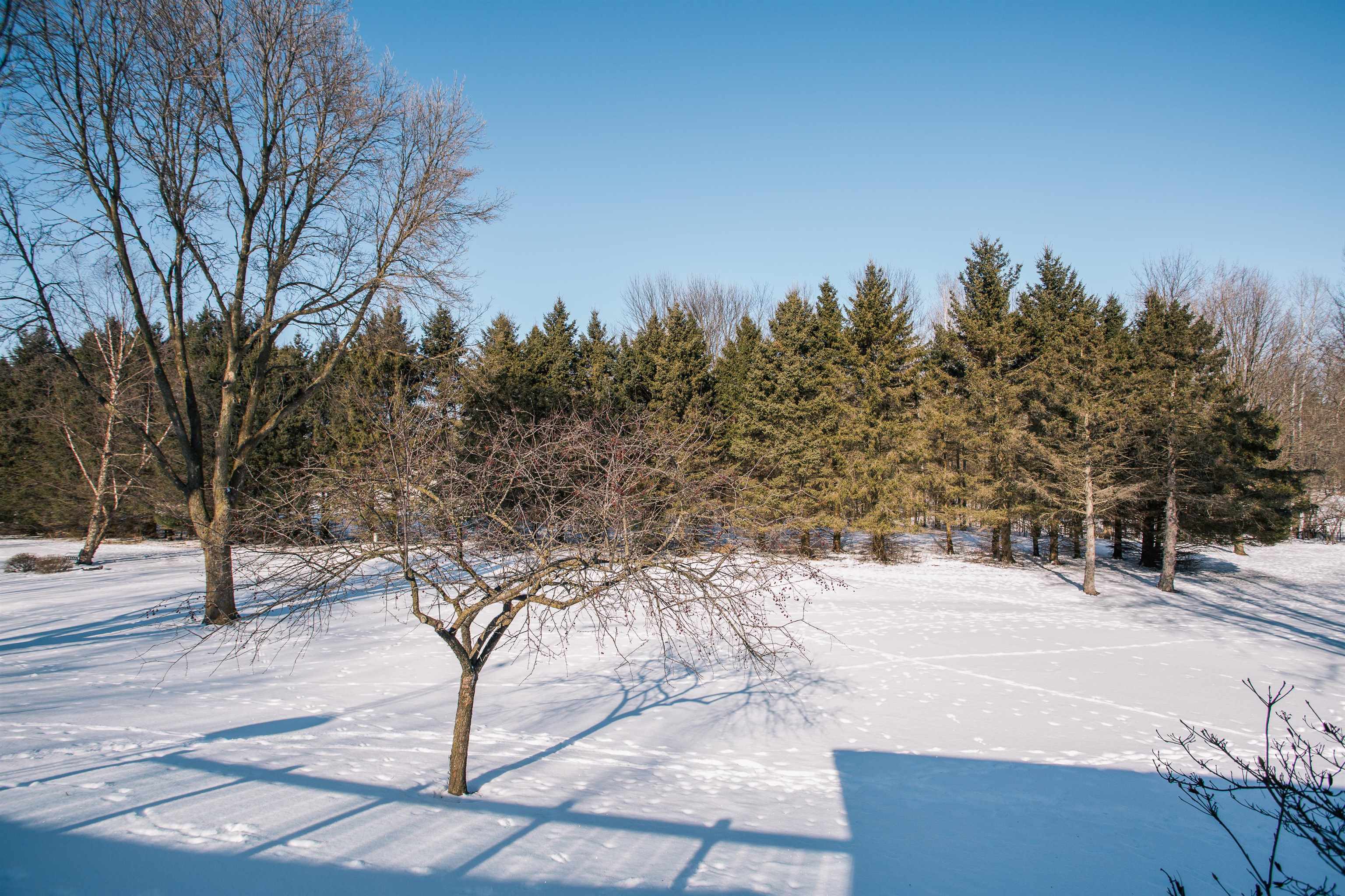 214 W HUNT STREET, Greenwood, Wisconsin 54437, 4 Bedrooms Bedrooms, ,2 BathroomsBathrooms,Residential,For Sale,214 W HUNT STREET,22600379