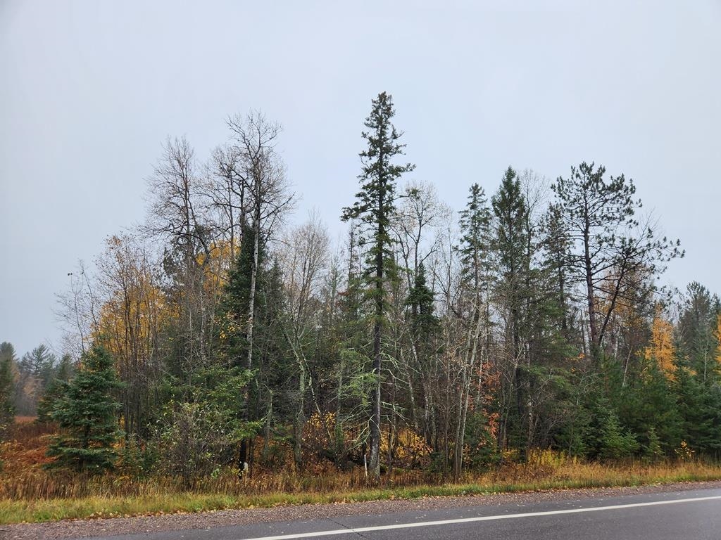 STATE HIGHWAY 86, Ogema, Wisconsin 54490-0000, ,Land,For Sale,STATE HIGHWAY 86,22600383