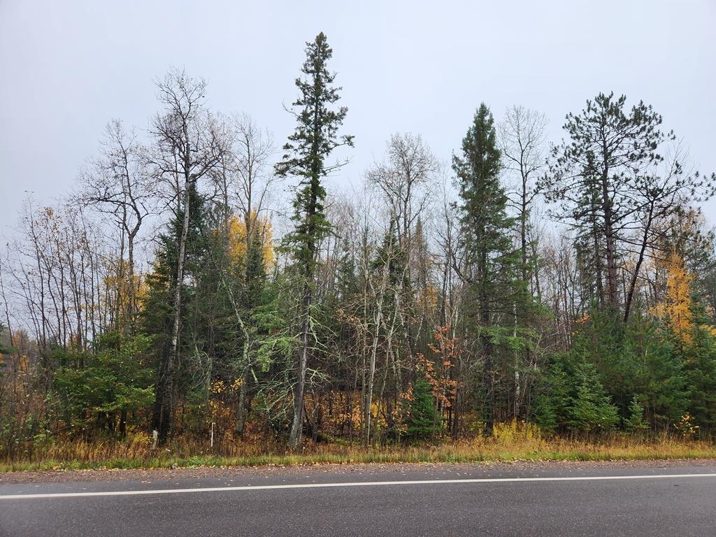 STATE HIGHWAY 86, Ogema, Wisconsin 54490-0000, ,Land,For Sale,STATE HIGHWAY 86,22600383