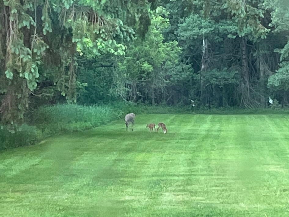 814 4TH AVENUE NORTH, Park Falls, Wisconsin 54552, 4 Bedrooms Bedrooms, ,3 BathroomsBathrooms,Residential,For Sale,814 4TH AVENUE NORTH,22600390