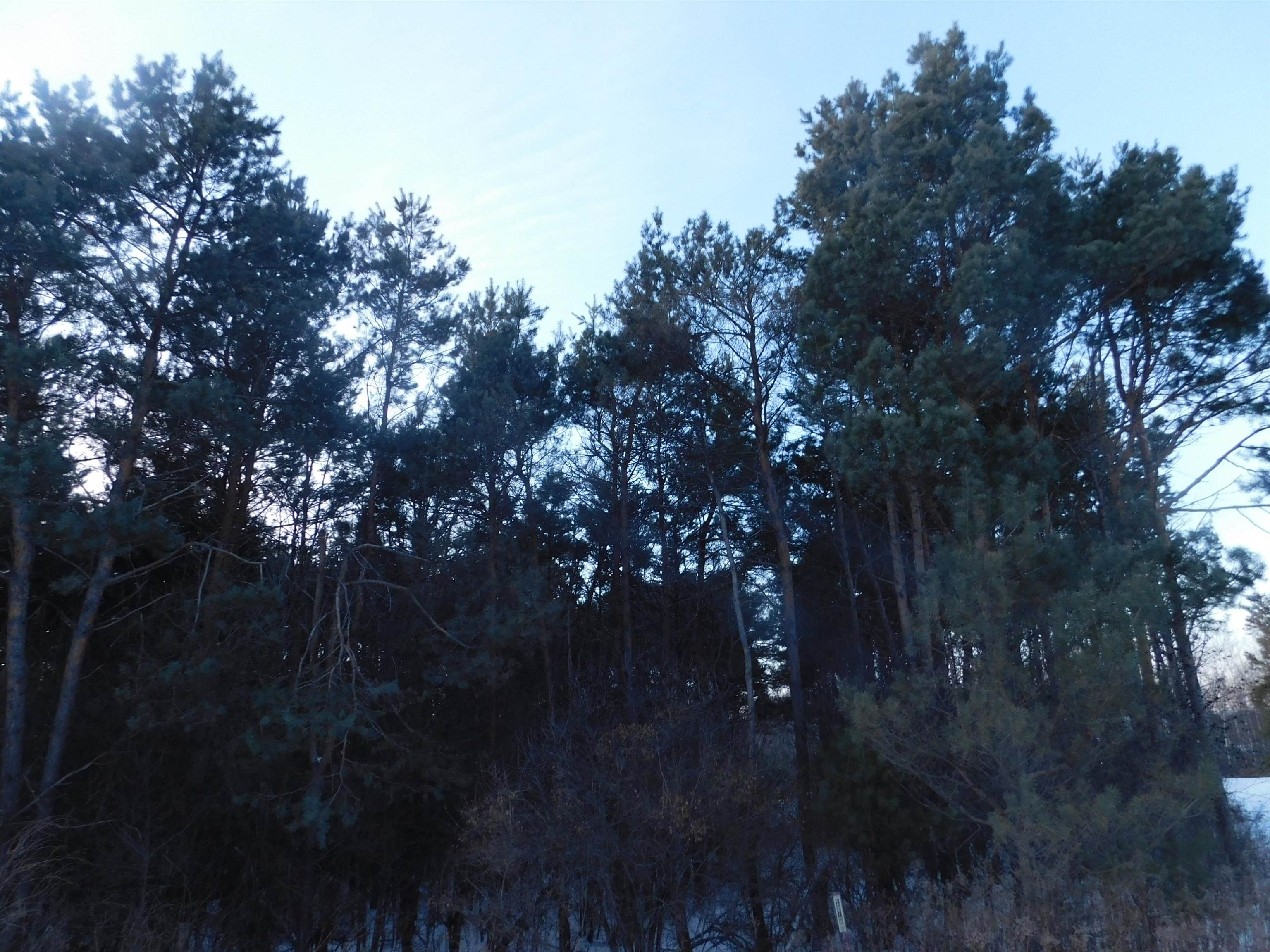 Lot 17 PRAIRIE RIVER SAVANNAH, Merrill, Wisconsin 54452, ,Land,For Sale,Lot 17 PRAIRIE RIVER SAVANNAH,22600393