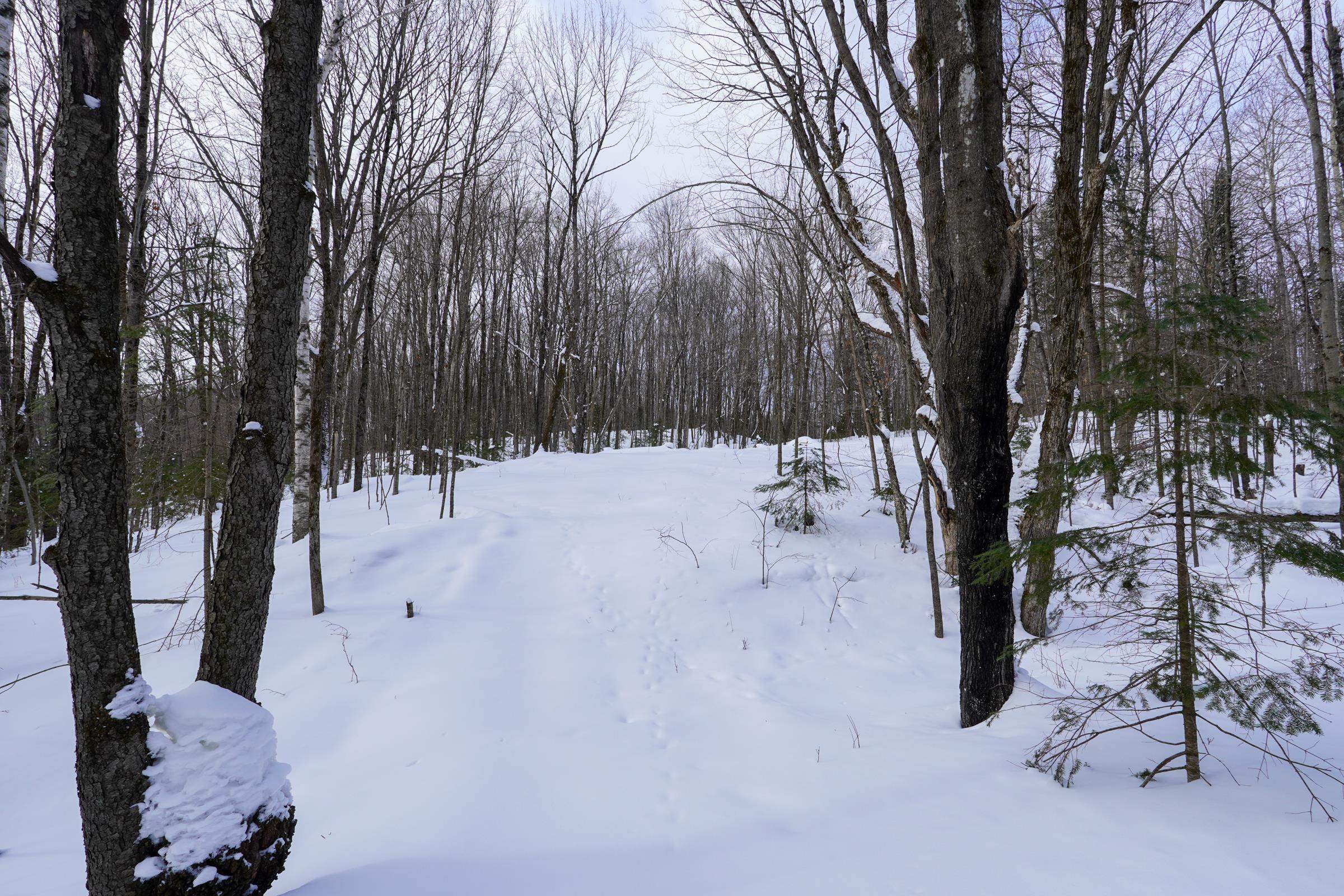 N1803 BERLIN ROAD, Ogema, Wisconsin 54459, 2 Bedrooms Bedrooms, ,1 BathroomBathrooms,Residential,For Sale,N1803 BERLIN ROAD,22600403