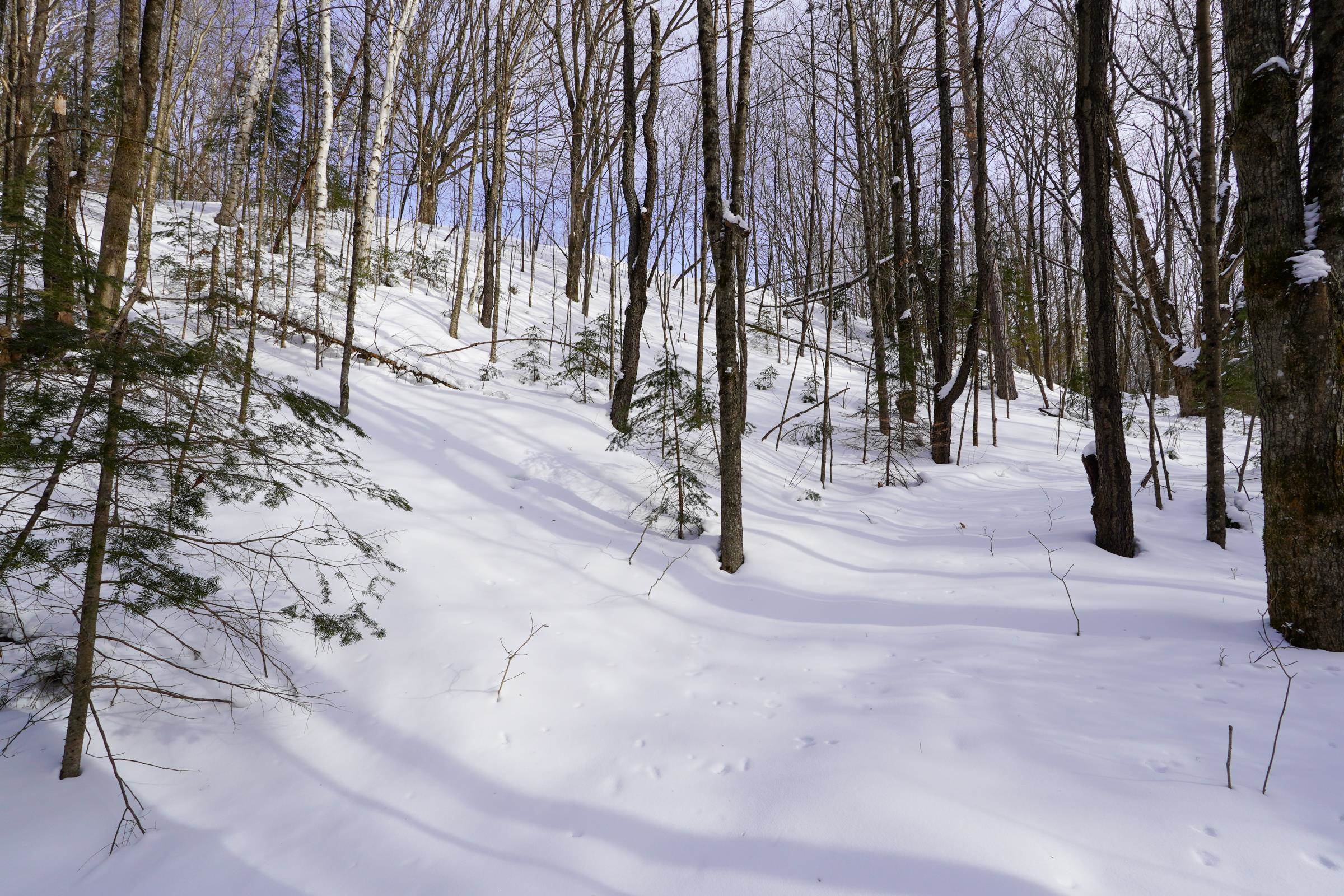 N1803 BERLIN ROAD, Ogema, Wisconsin 54459, 2 Bedrooms Bedrooms, ,1 BathroomBathrooms,Residential,For Sale,N1803 BERLIN ROAD,22600403