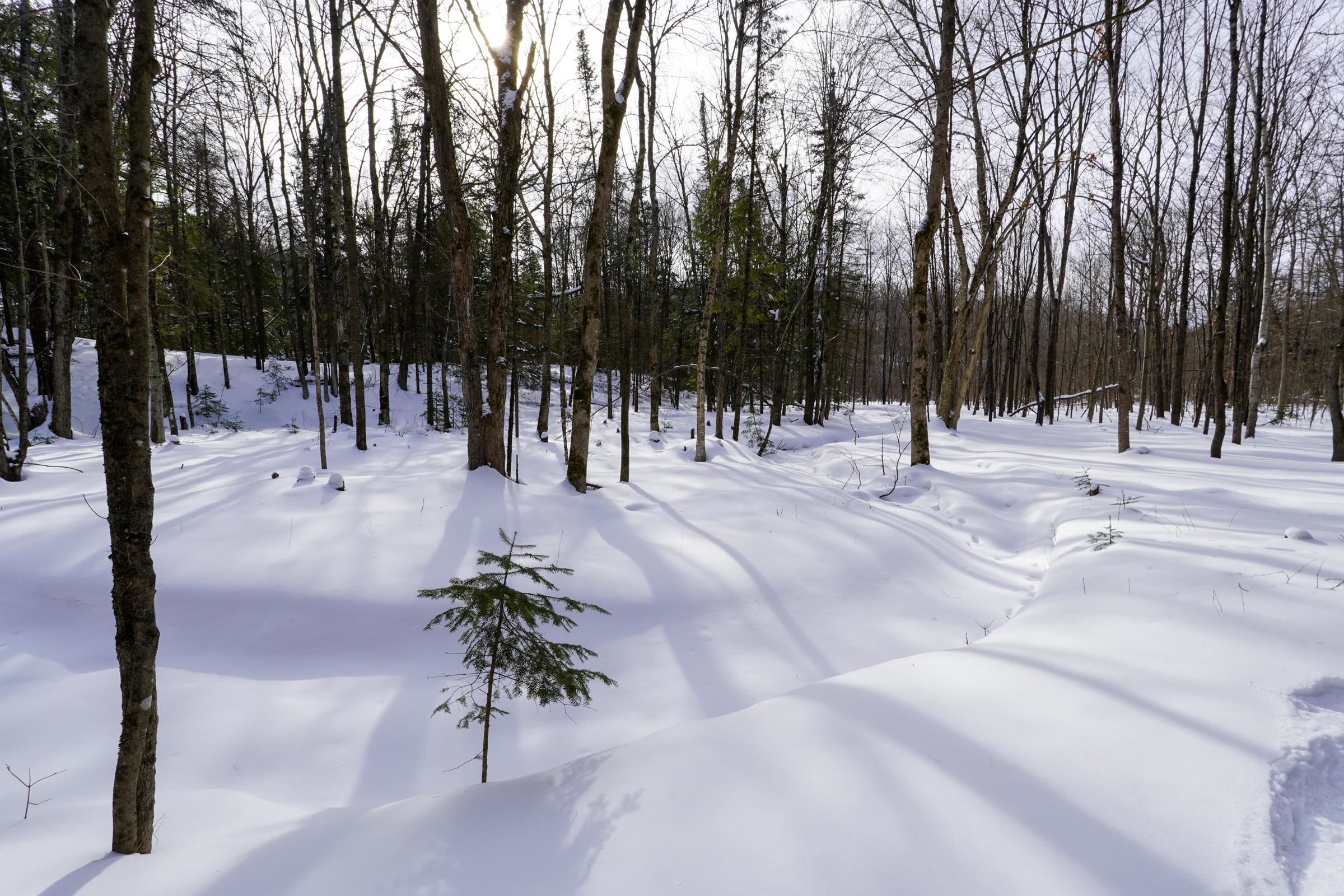 N1803 BERLIN ROAD, Ogema, Wisconsin 54459, 2 Bedrooms Bedrooms, ,1 BathroomBathrooms,Residential,For Sale,N1803 BERLIN ROAD,22600403