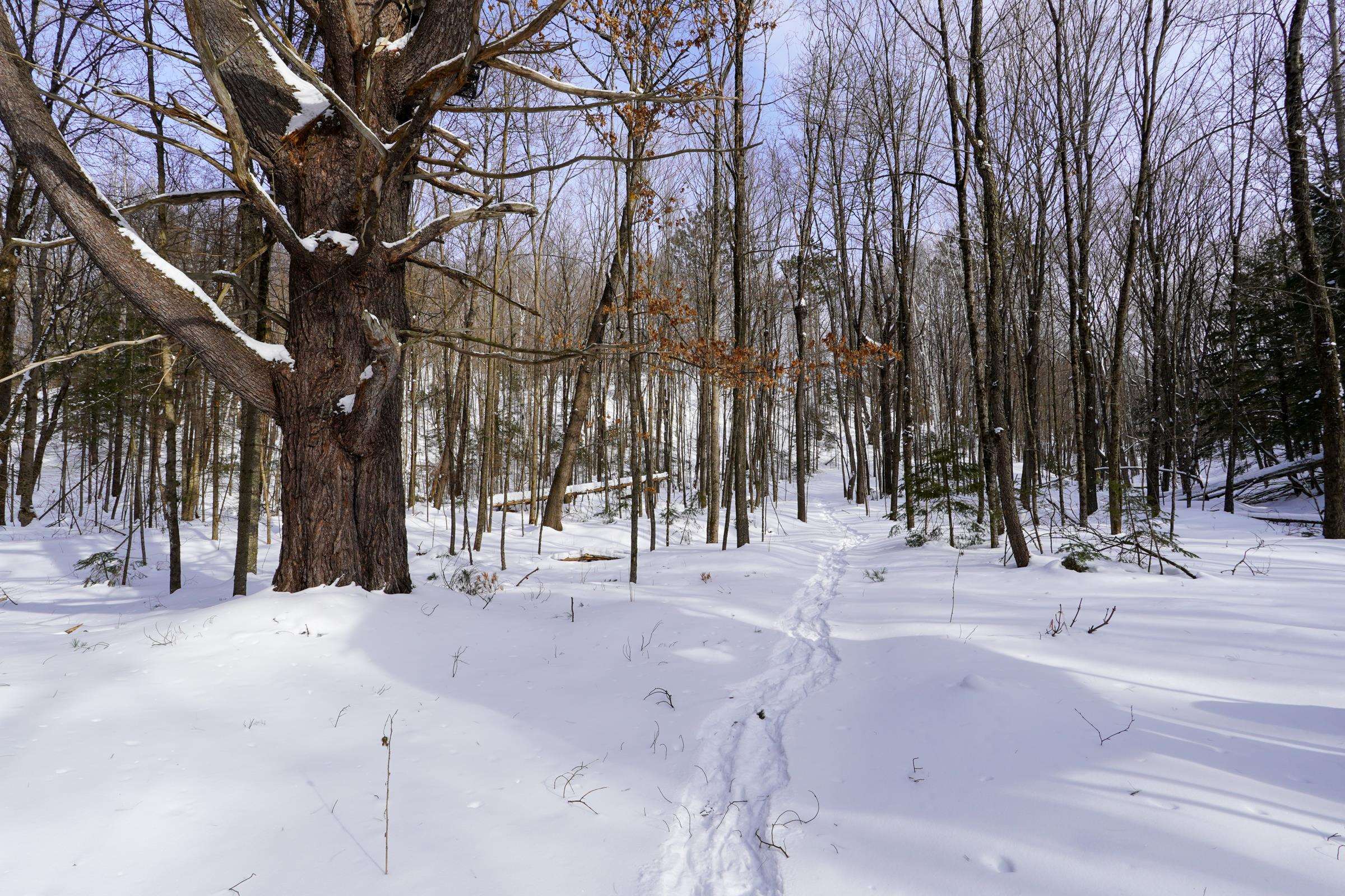 N1803 BERLIN ROAD, Ogema, Wisconsin 54459, 2 Bedrooms Bedrooms, ,1 BathroomBathrooms,Residential,For Sale,N1803 BERLIN ROAD,22600403