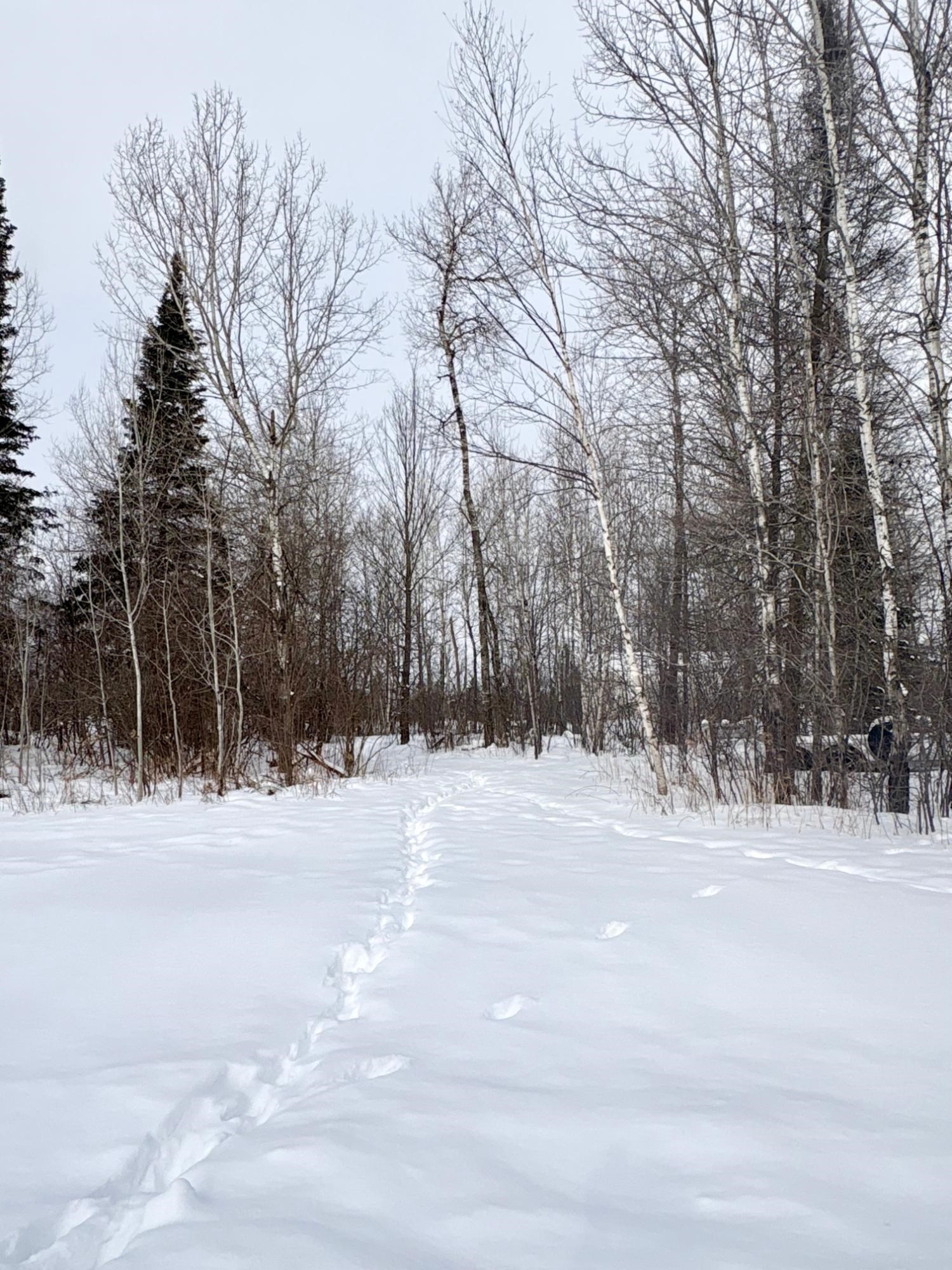 418 GREEN TREE DRIVE, Prentice, Wisconsin 54556, 3 Bedrooms Bedrooms, ,2 BathroomsBathrooms,Residential,For Sale,418 GREEN TREE DRIVE,22600414