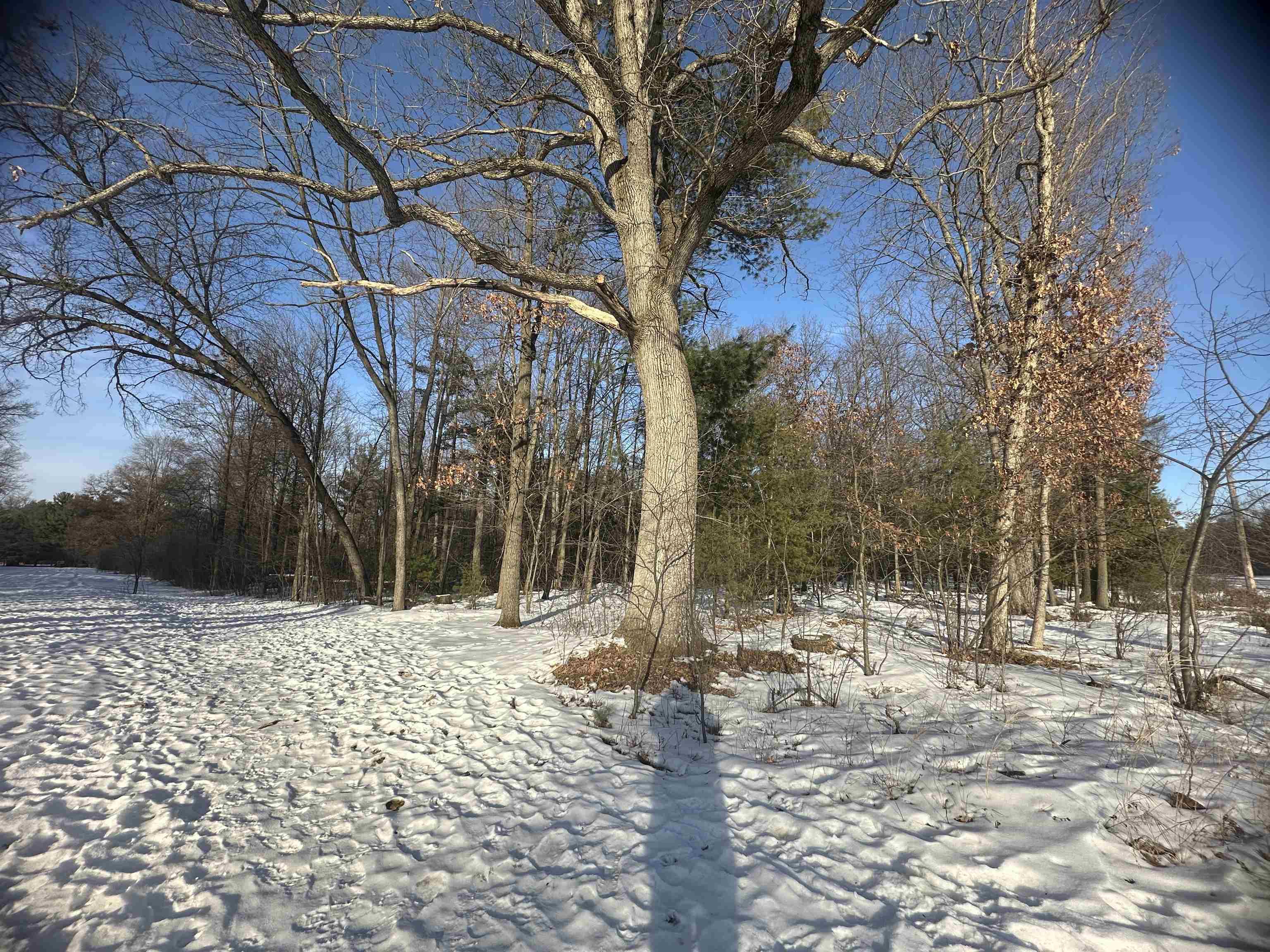 2340 CAREY STREET, Wisconsin Rapids, Wisconsin 54494, ,Land,For Sale,2340 CAREY STREET,22600416