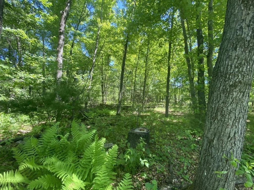 2340 CAREY STREET, Wisconsin Rapids, Wisconsin 54494, ,Land,For Sale,2340 CAREY STREET,22600416