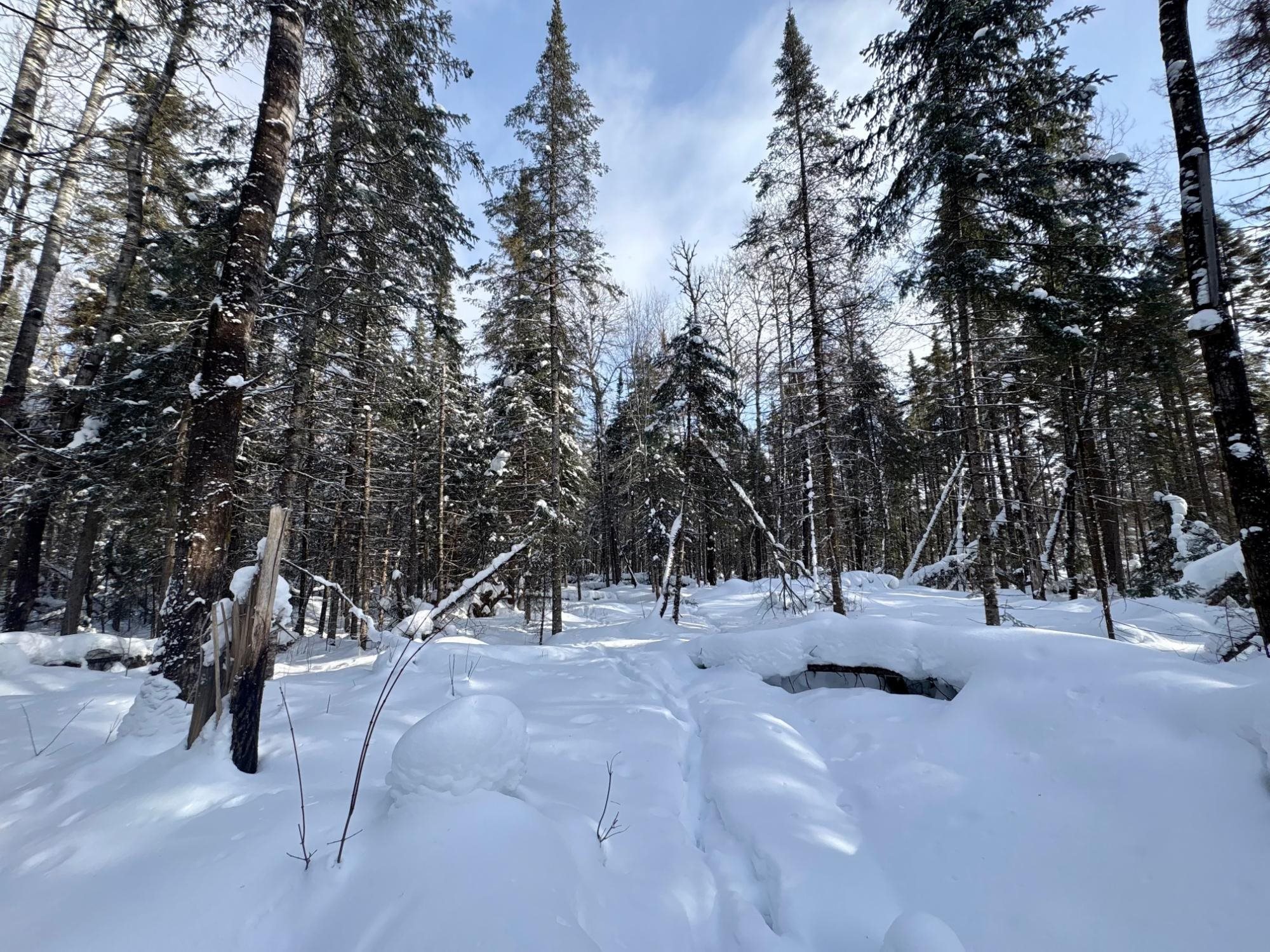 25392 HIGHWAY 13, Glidden, Wisconsin 54527, 2 Bedrooms Bedrooms, ,1 BathroomBathrooms,Residential,For Sale,25392 HIGHWAY 13,22600418