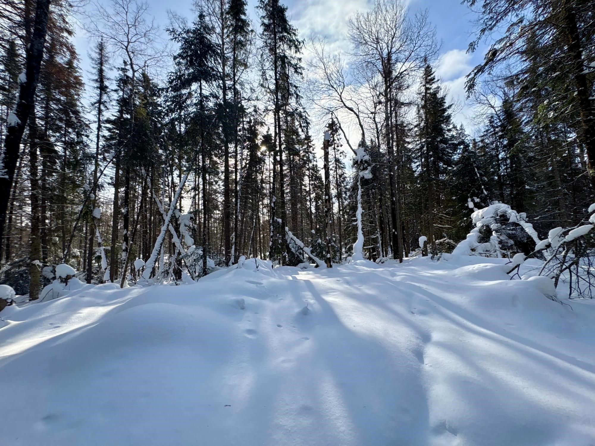 25392 HIGHWAY 13, Glidden, Wisconsin 54527, 2 Bedrooms Bedrooms, ,1 BathroomBathrooms,Residential,For Sale,25392 HIGHWAY 13,22600418