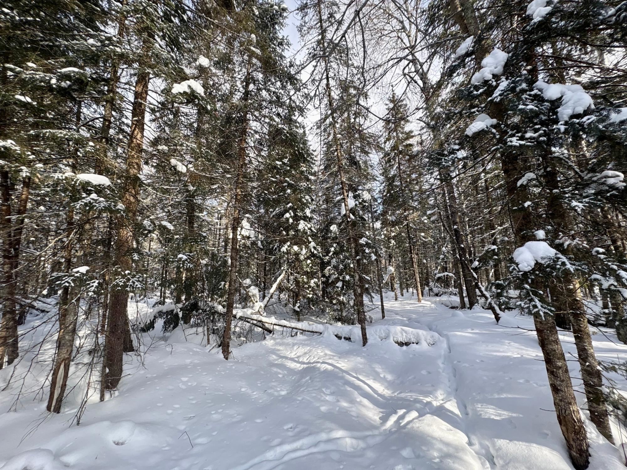 25392 HIGHWAY 13, Glidden, Wisconsin 54527, 2 Bedrooms Bedrooms, ,1 BathroomBathrooms,Residential,For Sale,25392 HIGHWAY 13,22600418