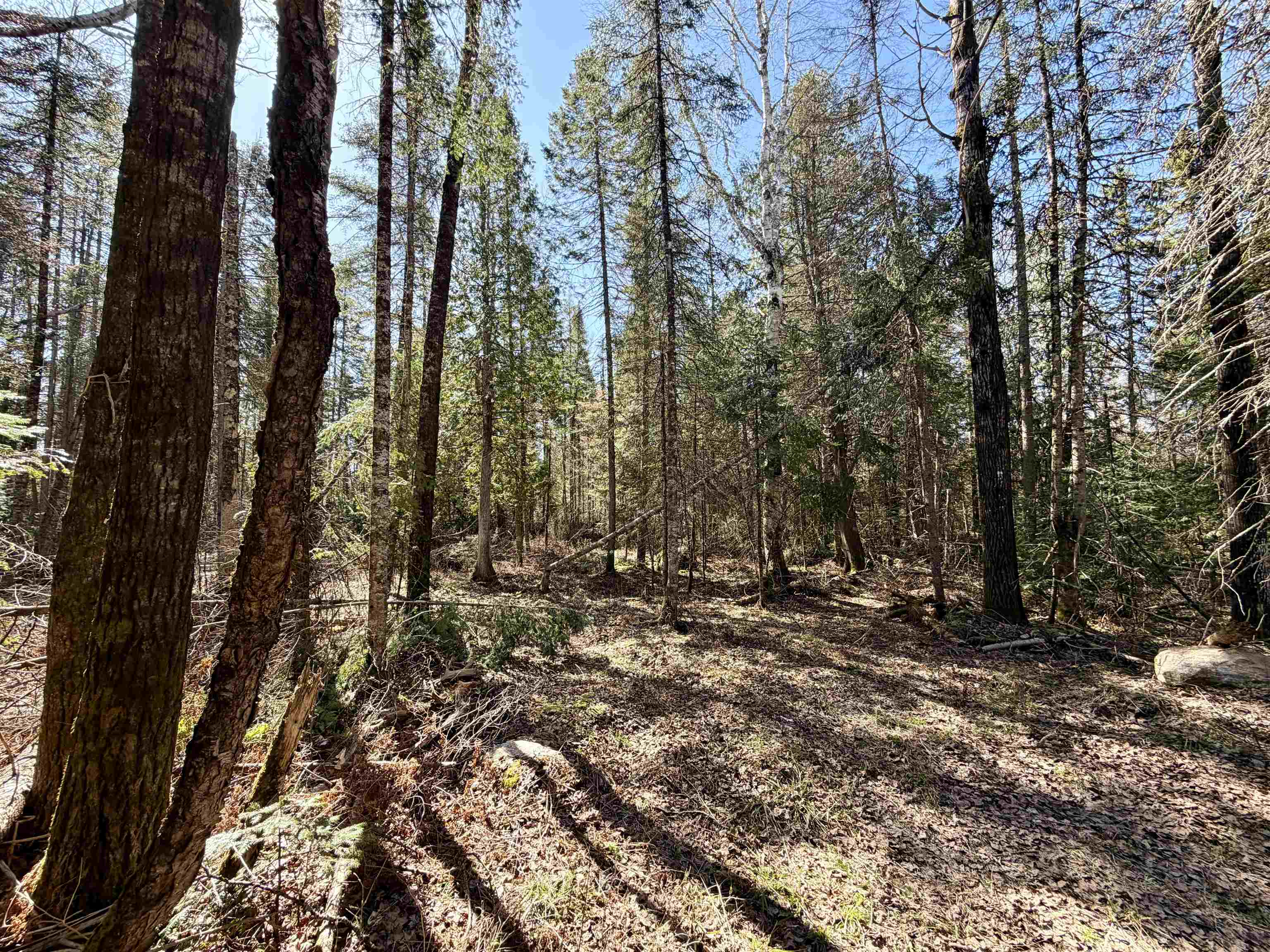 25392 HIGHWAY 13, Glidden, Wisconsin 54527, 2 Bedrooms Bedrooms, ,1 BathroomBathrooms,Residential,For Sale,25392 HIGHWAY 13,22600418
