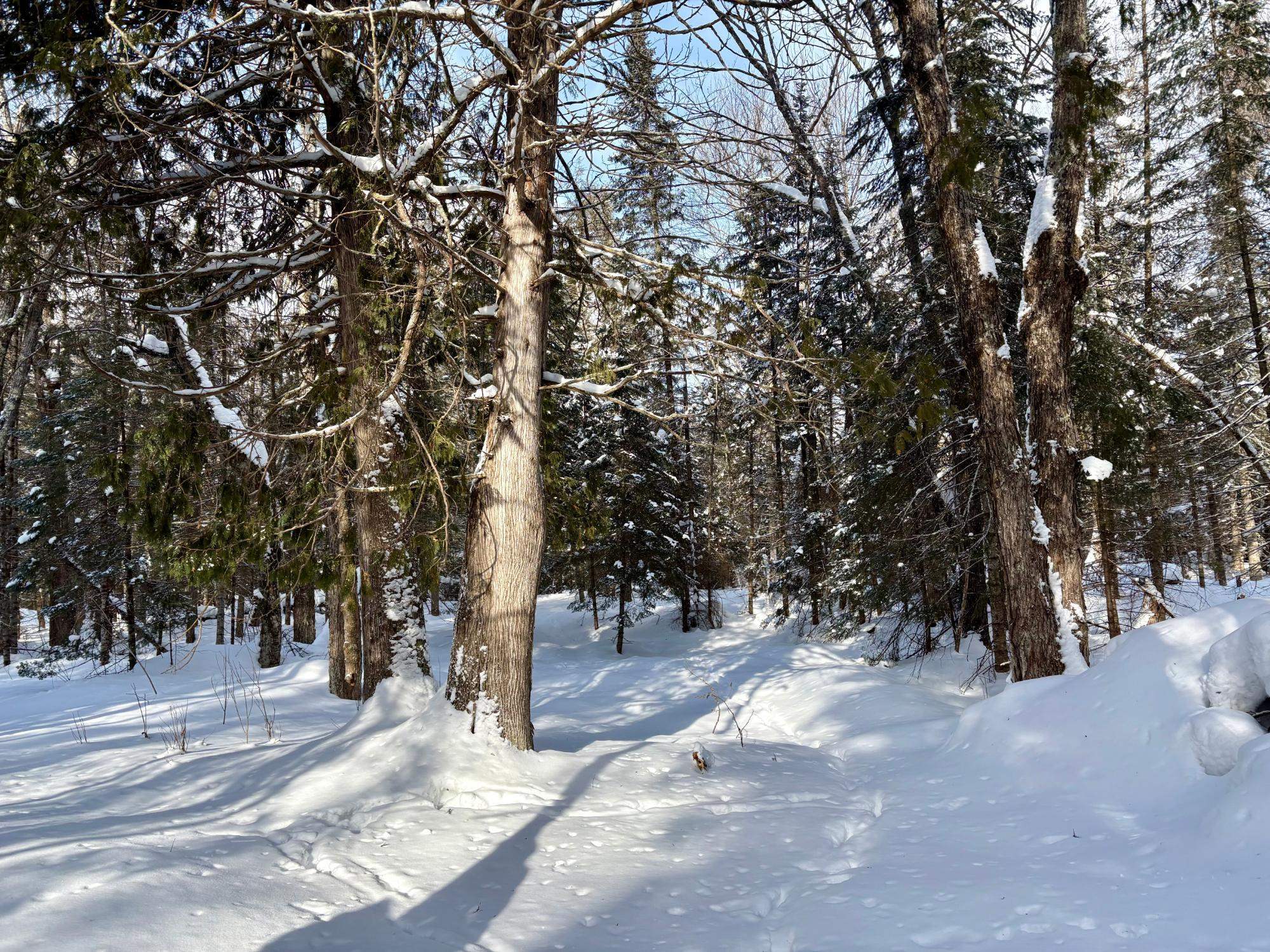 25392 HIGHWAY 13, Glidden, Wisconsin 54527, 2 Bedrooms Bedrooms, ,1 BathroomBathrooms,Residential,For Sale,25392 HIGHWAY 13,22600418