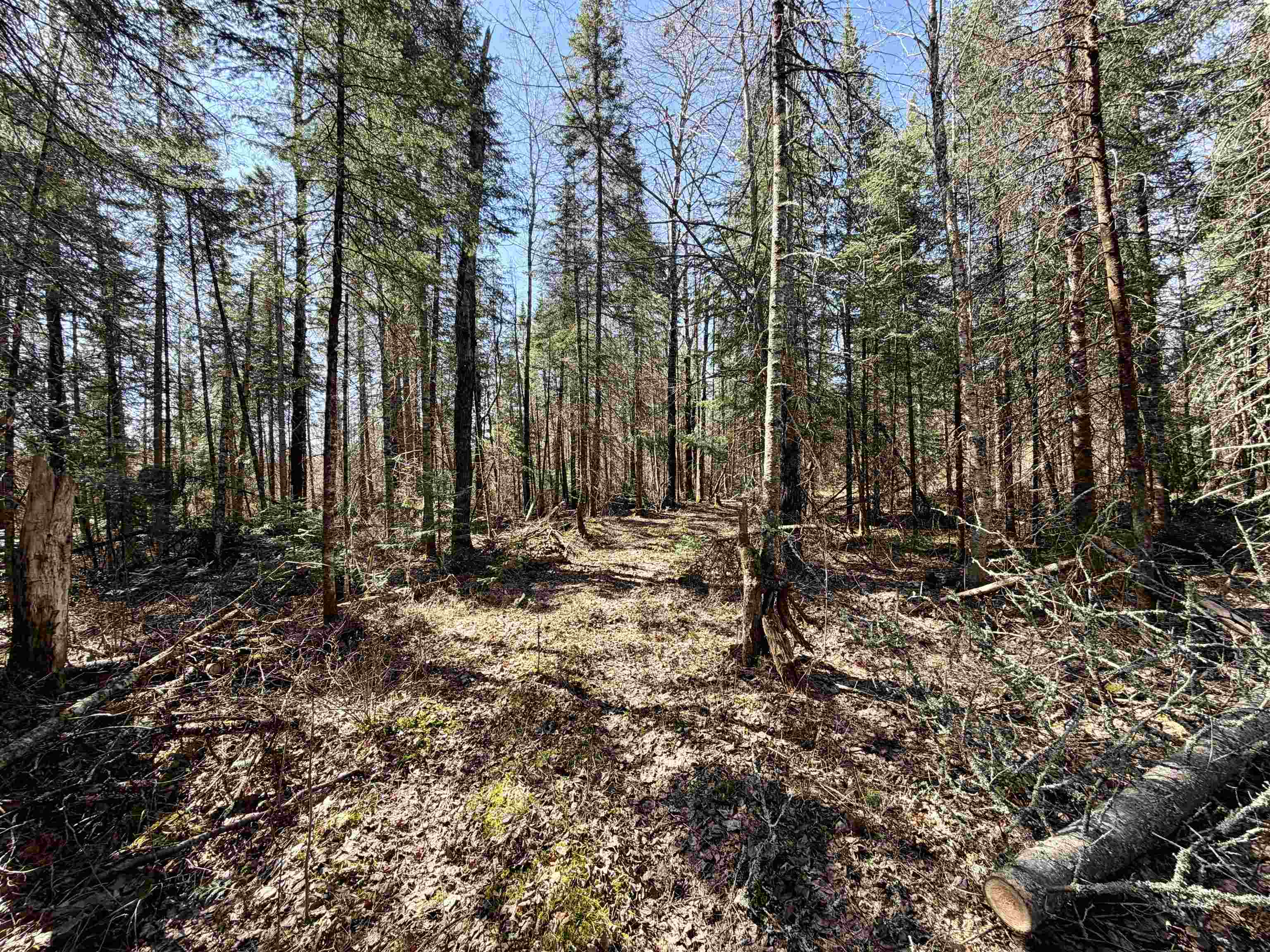 25392 HIGHWAY 13, Glidden, Wisconsin 54527, 2 Bedrooms Bedrooms, ,1 BathroomBathrooms,Residential,For Sale,25392 HIGHWAY 13,22600418