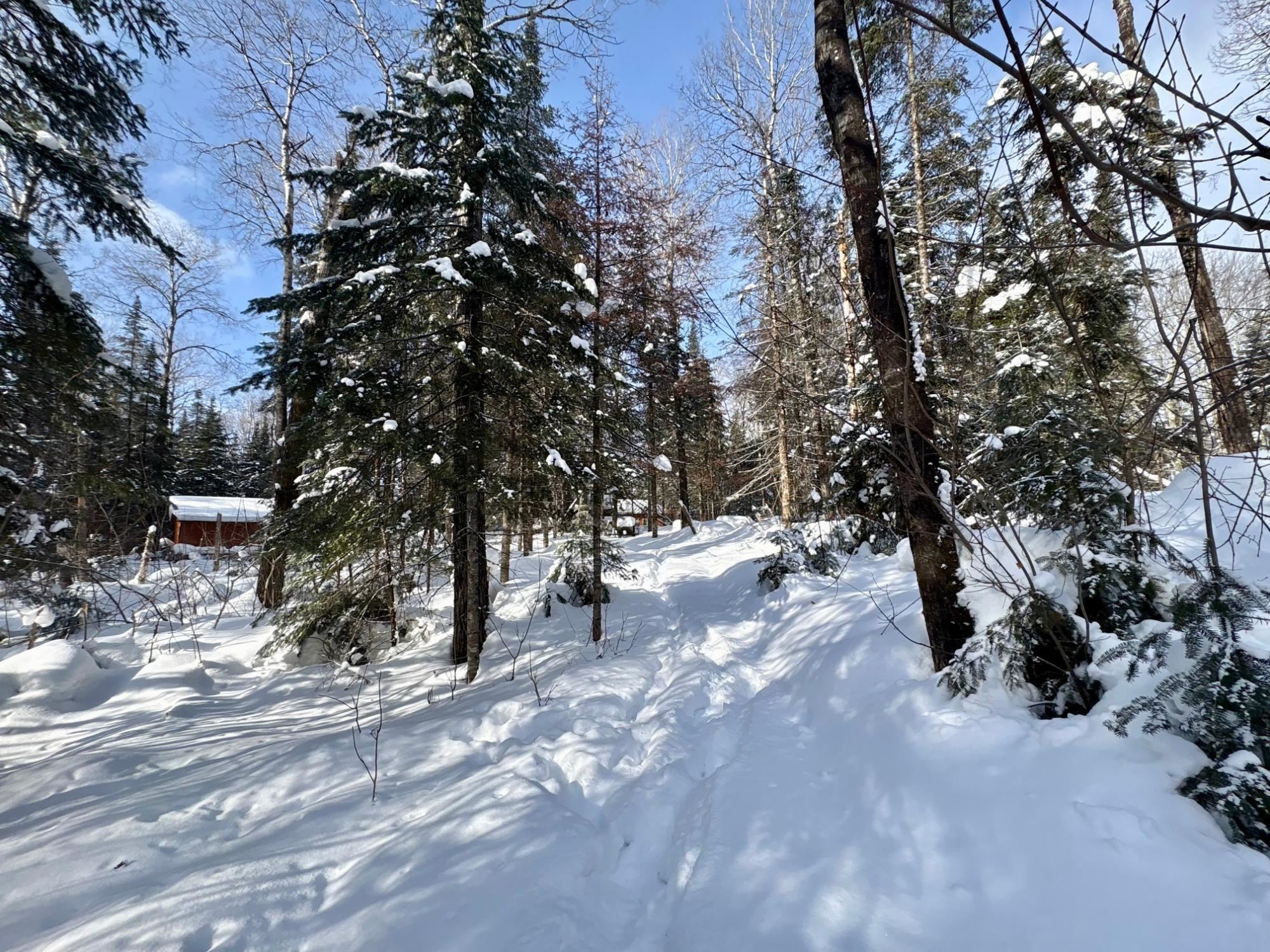 25392 HIGHWAY 13, Glidden, Wisconsin 54527, 2 Bedrooms Bedrooms, ,1 BathroomBathrooms,Residential,For Sale,25392 HIGHWAY 13,22600418