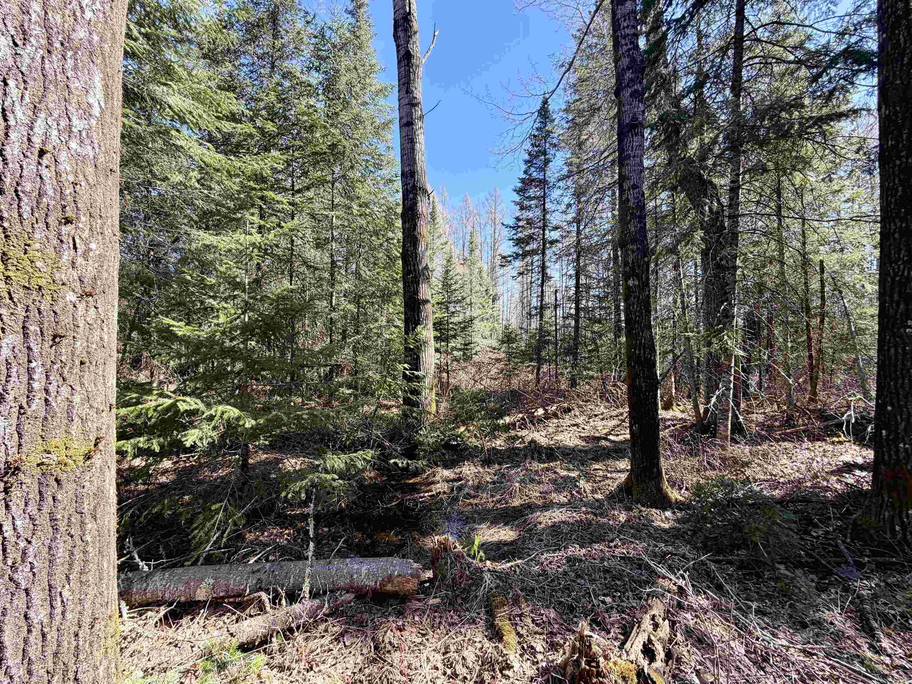 25392 HIGHWAY 13, Glidden, Wisconsin 54527, 2 Bedrooms Bedrooms, ,1 BathroomBathrooms,Residential,For Sale,25392 HIGHWAY 13,22600418
