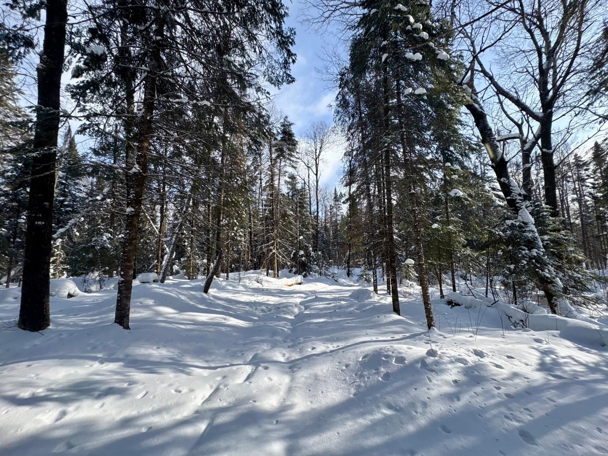 25392 HIGHWAY 13, Glidden, Wisconsin 54527, 2 Bedrooms Bedrooms, ,1 BathroomBathrooms,Residential,For Sale,25392 HIGHWAY 13,22600418