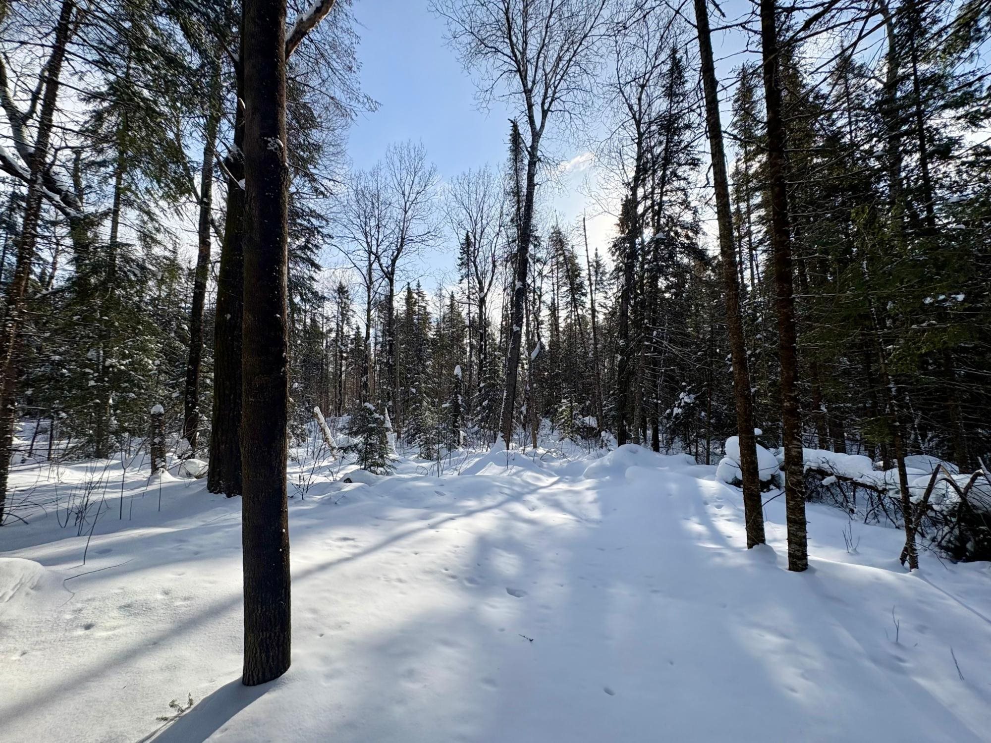 25392 HIGHWAY 13, Glidden, Wisconsin 54527, 2 Bedrooms Bedrooms, ,1 BathroomBathrooms,Residential,For Sale,25392 HIGHWAY 13,22600418