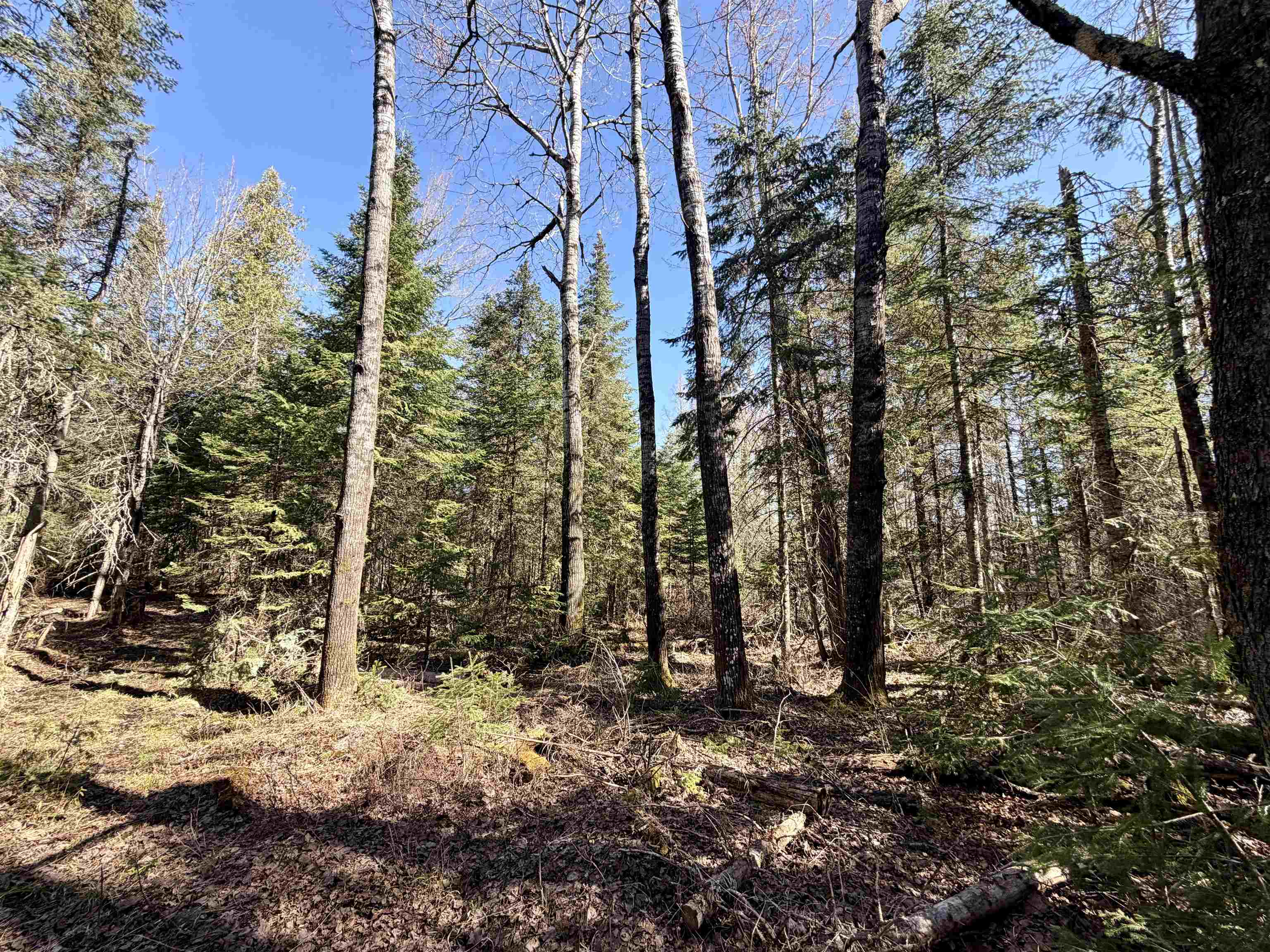25392 HIGHWAY 13, Glidden, Wisconsin 54527, 2 Bedrooms Bedrooms, ,1 BathroomBathrooms,Residential,For Sale,25392 HIGHWAY 13,22600418