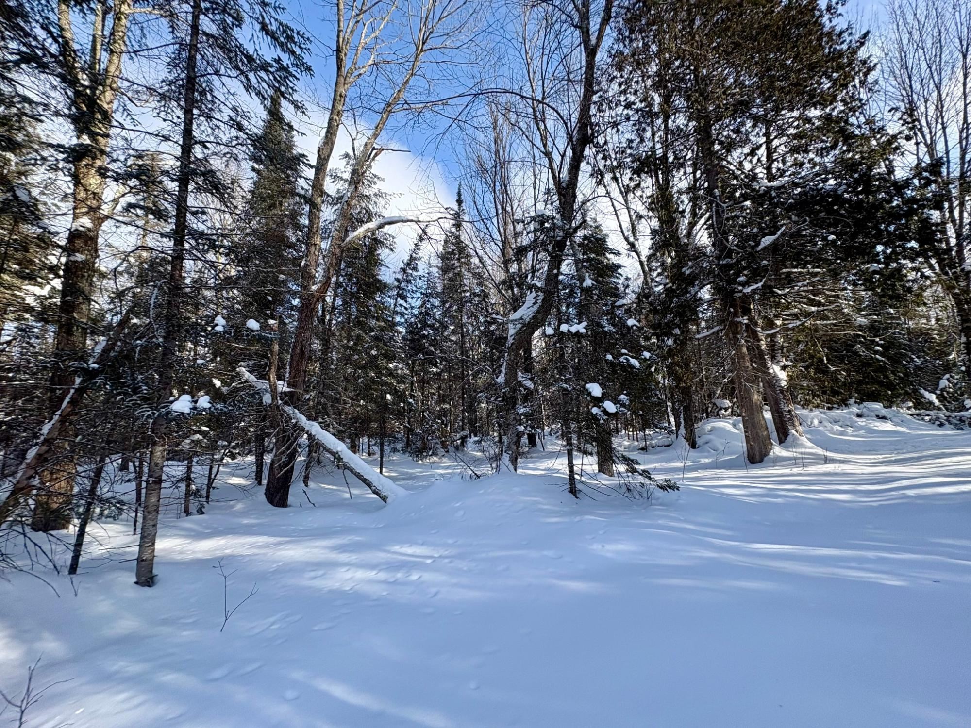 25392 HIGHWAY 13, Glidden, Wisconsin 54527, 2 Bedrooms Bedrooms, ,1 BathroomBathrooms,Residential,For Sale,25392 HIGHWAY 13,22600418