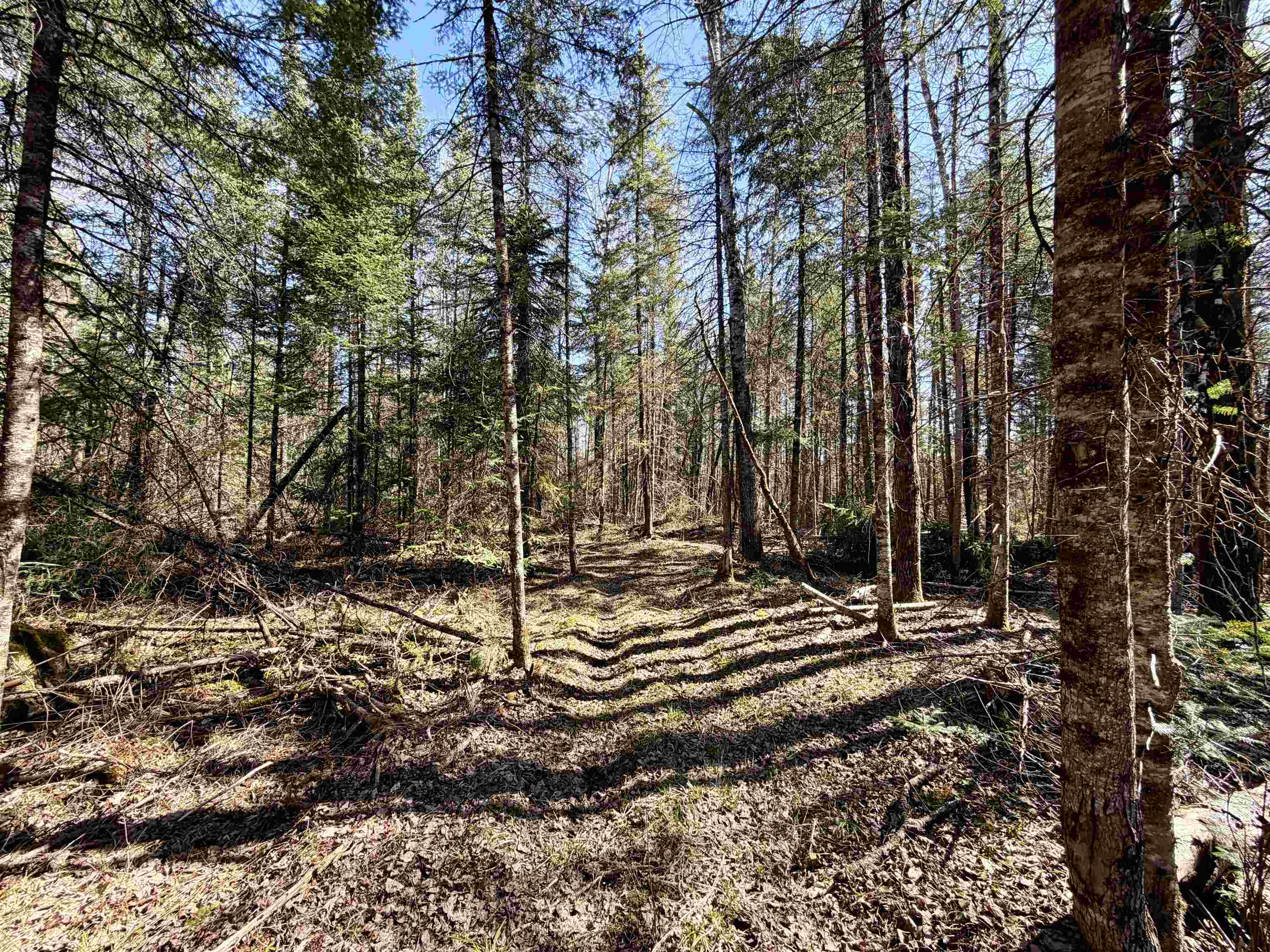 25392 HIGHWAY 13, Glidden, Wisconsin 54527, 2 Bedrooms Bedrooms, ,1 BathroomBathrooms,Residential,For Sale,25392 HIGHWAY 13,22600418