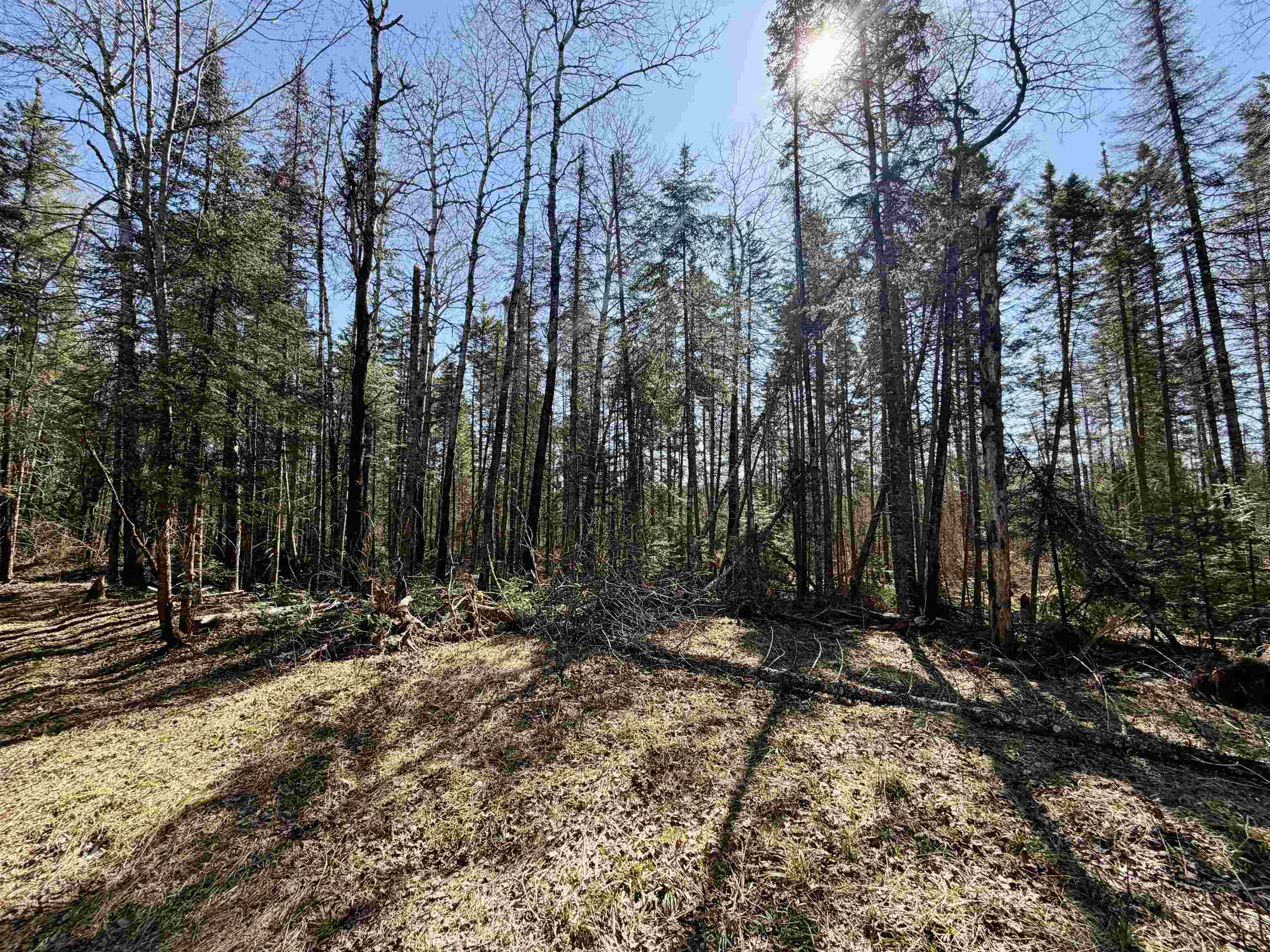 25392 HIGHWAY 13, Glidden, Wisconsin 54527, 2 Bedrooms Bedrooms, ,1 BathroomBathrooms,Residential,For Sale,25392 HIGHWAY 13,22600418