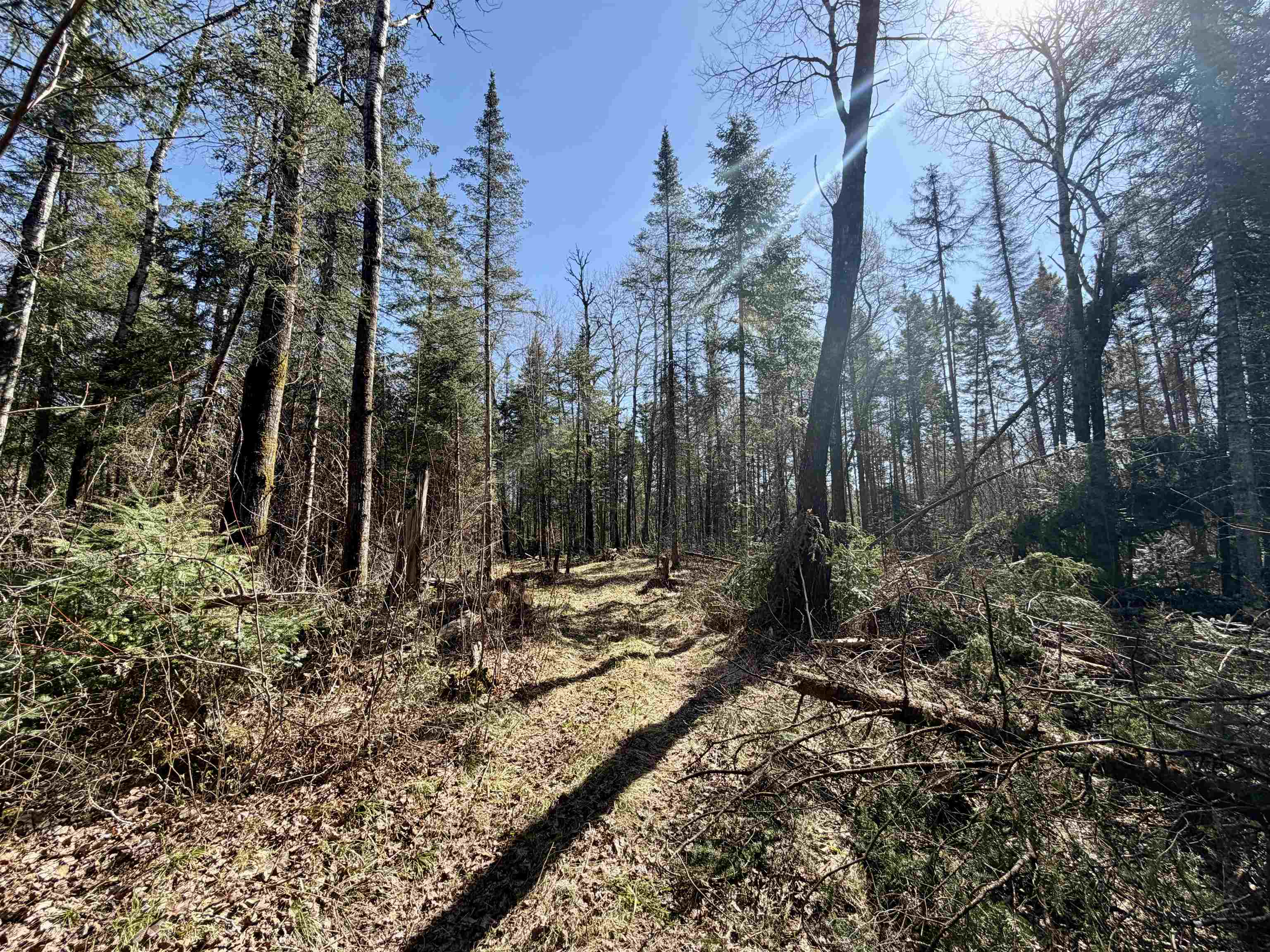 25392 HIGHWAY 13, Glidden, Wisconsin 54527, 2 Bedrooms Bedrooms, ,1 BathroomBathrooms,Residential,For Sale,25392 HIGHWAY 13,22600418