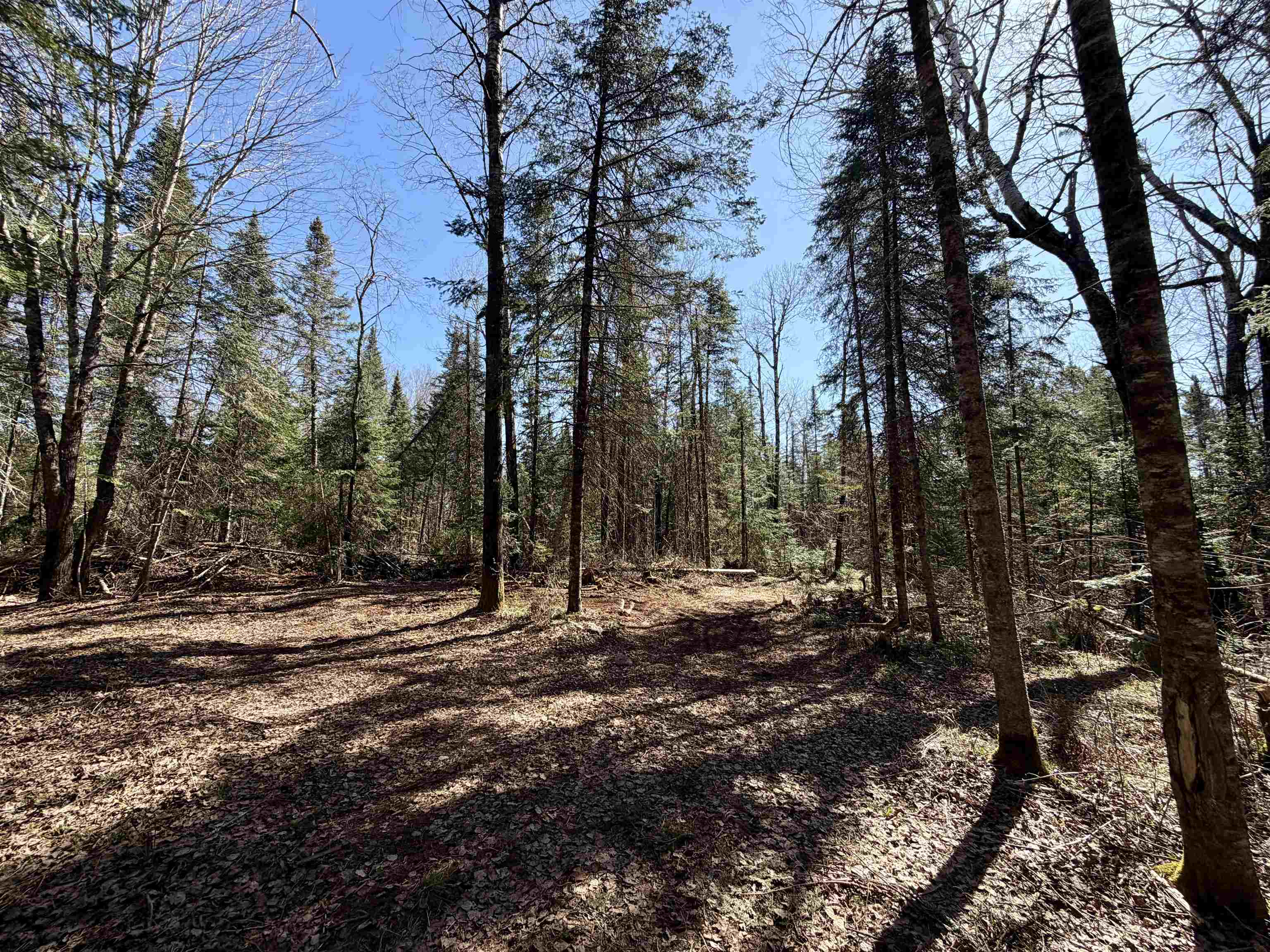 25392 HIGHWAY 13, Glidden, Wisconsin 54527, 2 Bedrooms Bedrooms, ,1 BathroomBathrooms,Residential,For Sale,25392 HIGHWAY 13,22600418