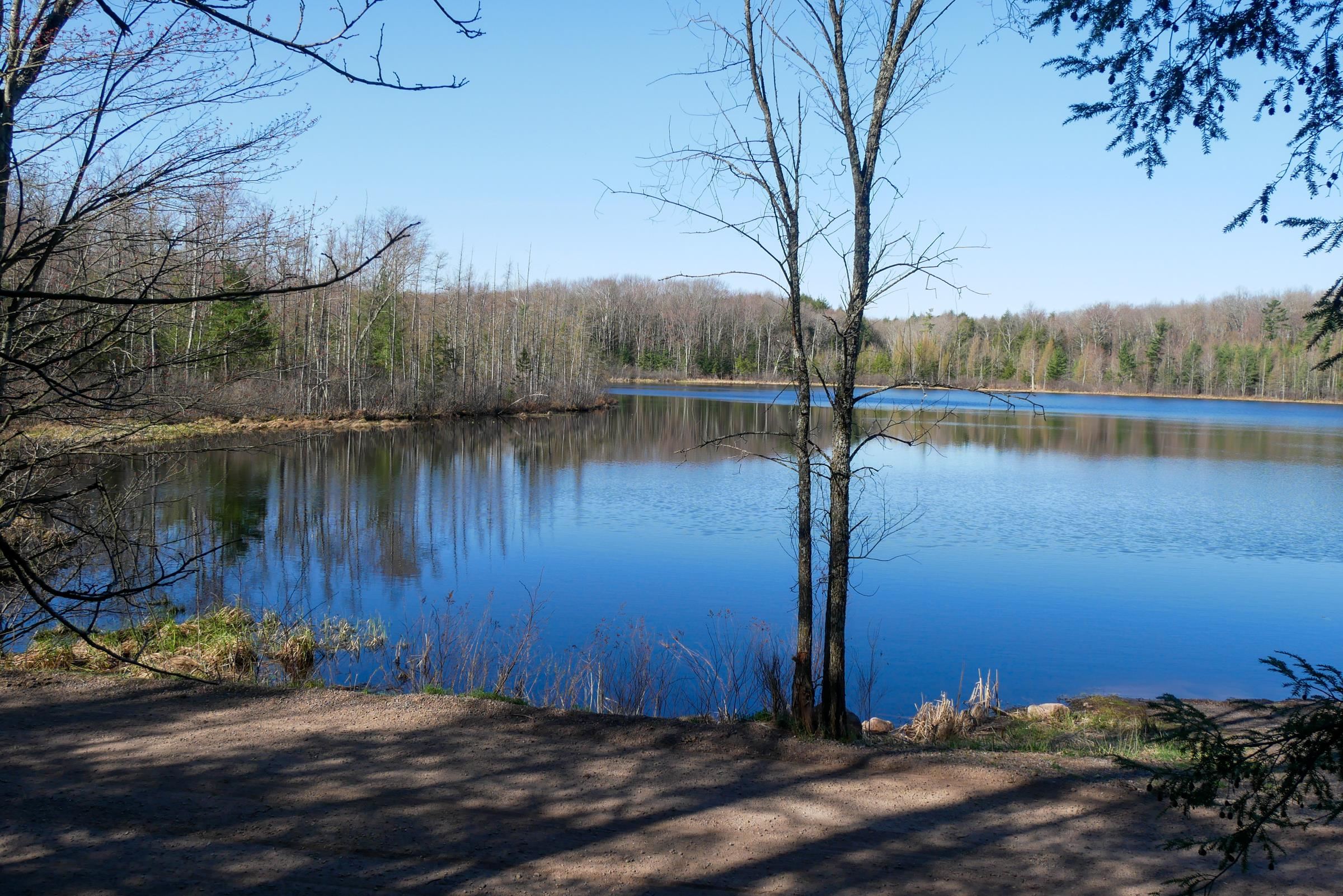 +/-.544 Acre SALEM LAKE ROAD, Medford, Wisconsin 54451, ,Land,For Sale,+/-.544 Acre SALEM LAKE ROAD,22600442