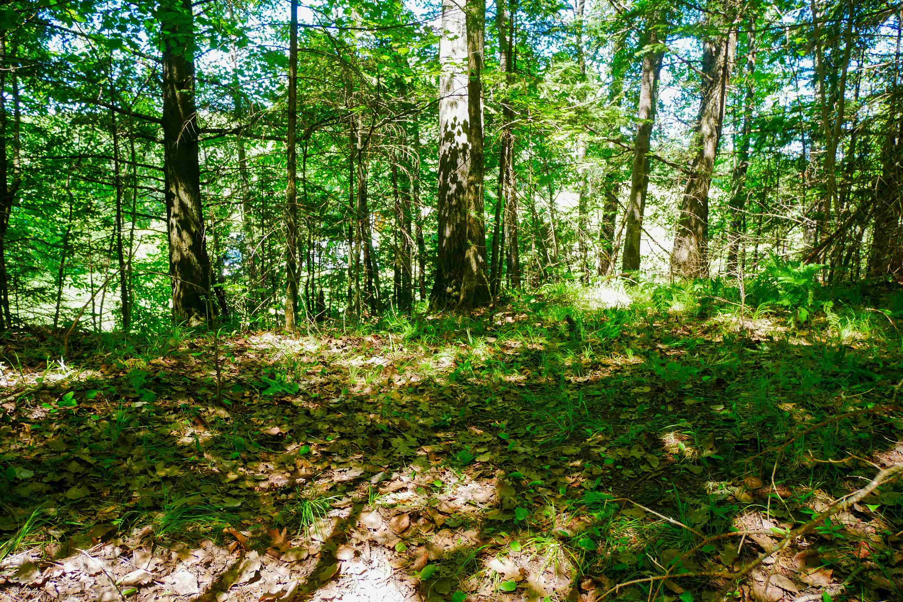 +/-.544 Acre SALEM LAKE ROAD, Medford, Wisconsin 54451, ,Land,For Sale,+/-.544 Acre SALEM LAKE ROAD,22600442