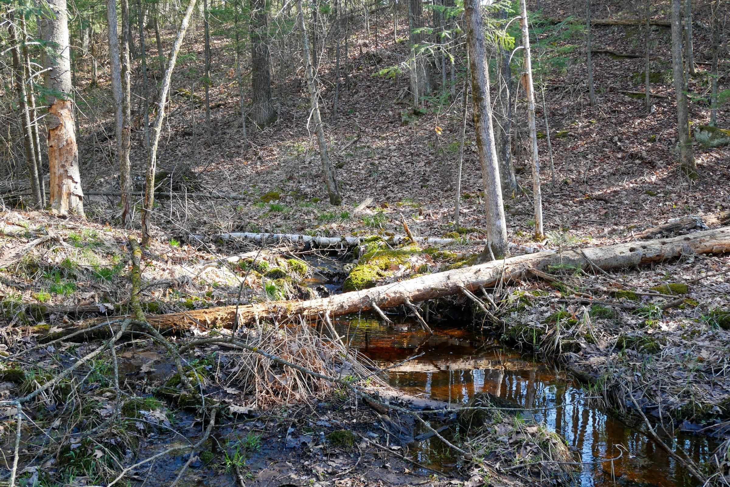 +/-.544 Acre SALEM LAKE ROAD, Medford, Wisconsin 54451, ,Land,For Sale,+/-.544 Acre SALEM LAKE ROAD,22600442