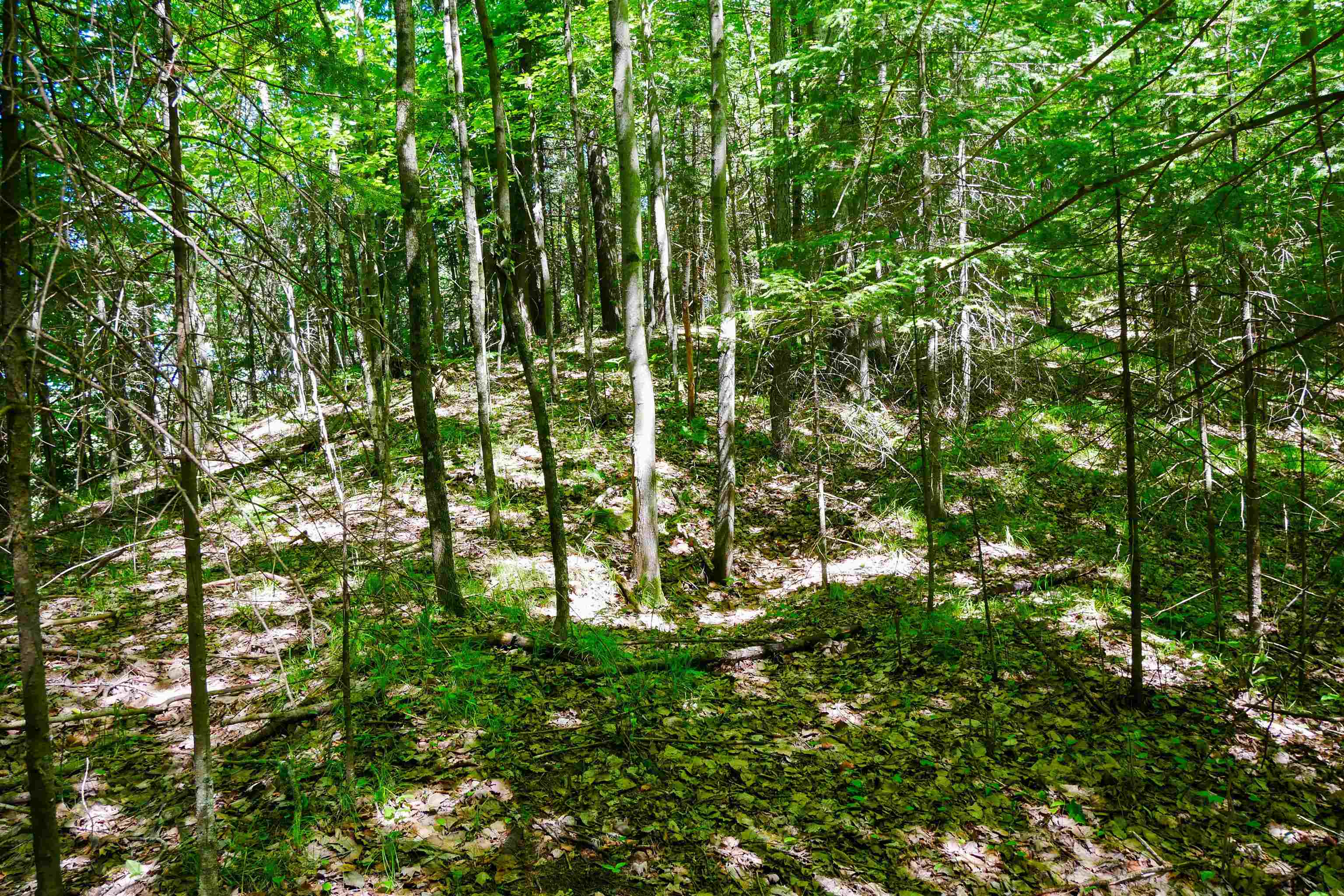 +/-.544 Acre SALEM LAKE ROAD, Medford, Wisconsin 54451, ,Land,For Sale,+/-.544 Acre SALEM LAKE ROAD,22600442