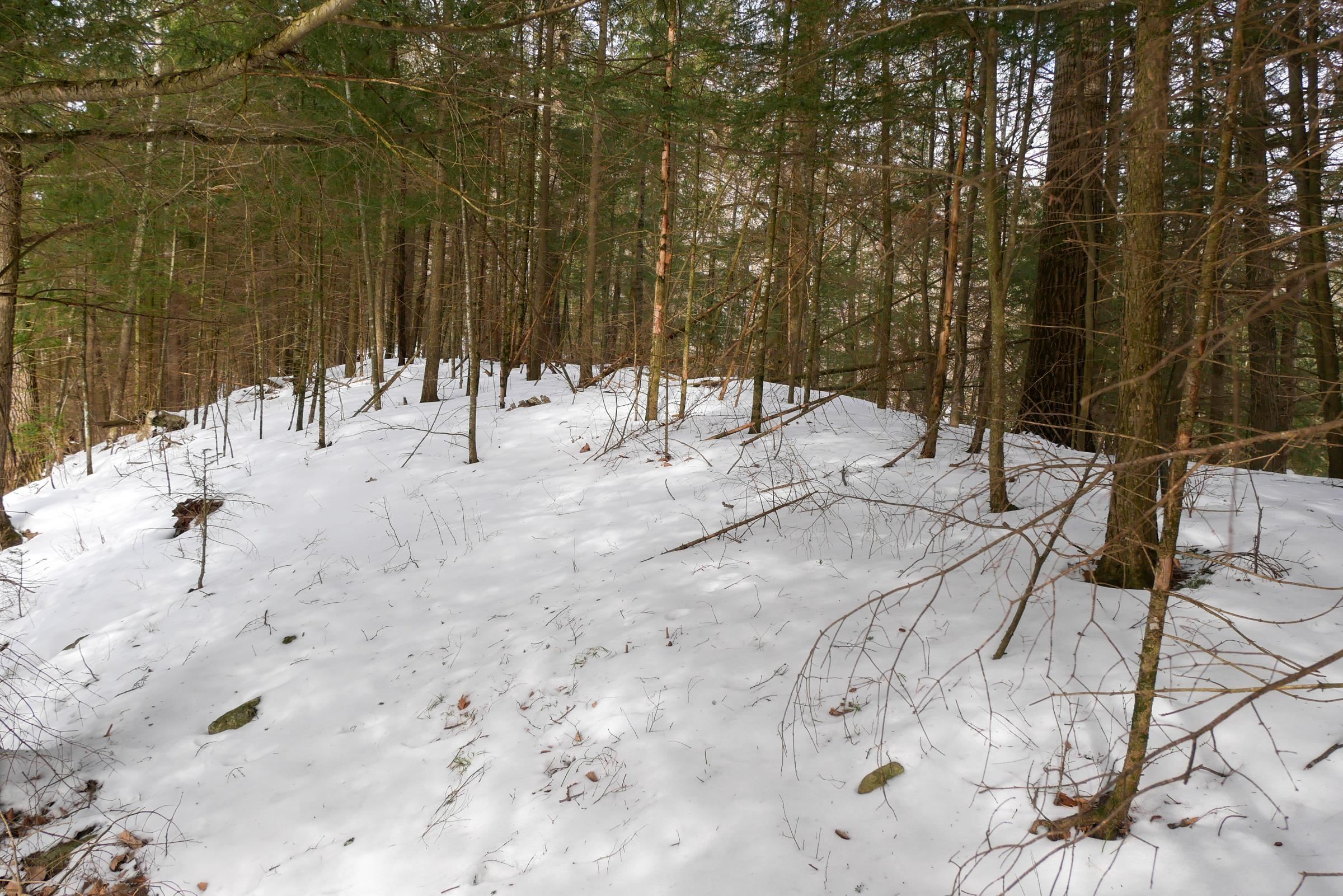 +/-.544 Acre SALEM LAKE ROAD, Medford, Wisconsin 54451, ,Land,For Sale,+/-.544 Acre SALEM LAKE ROAD,22600442