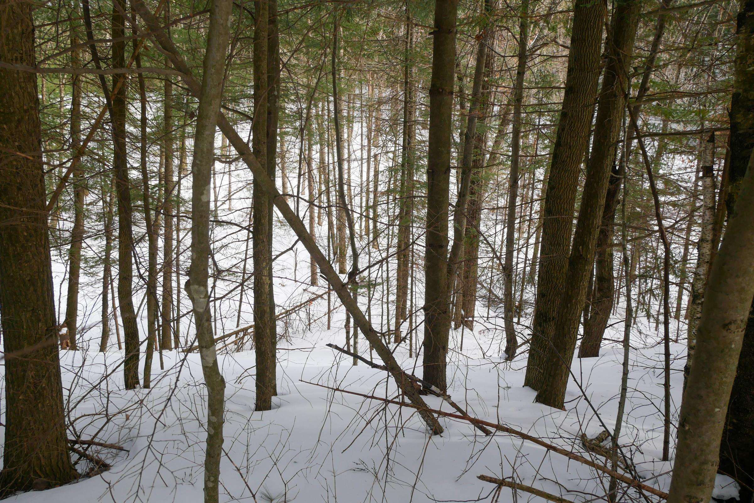 +/-.544 Acre SALEM LAKE ROAD, Medford, Wisconsin 54451, ,Land,For Sale,+/-.544 Acre SALEM LAKE ROAD,22600442