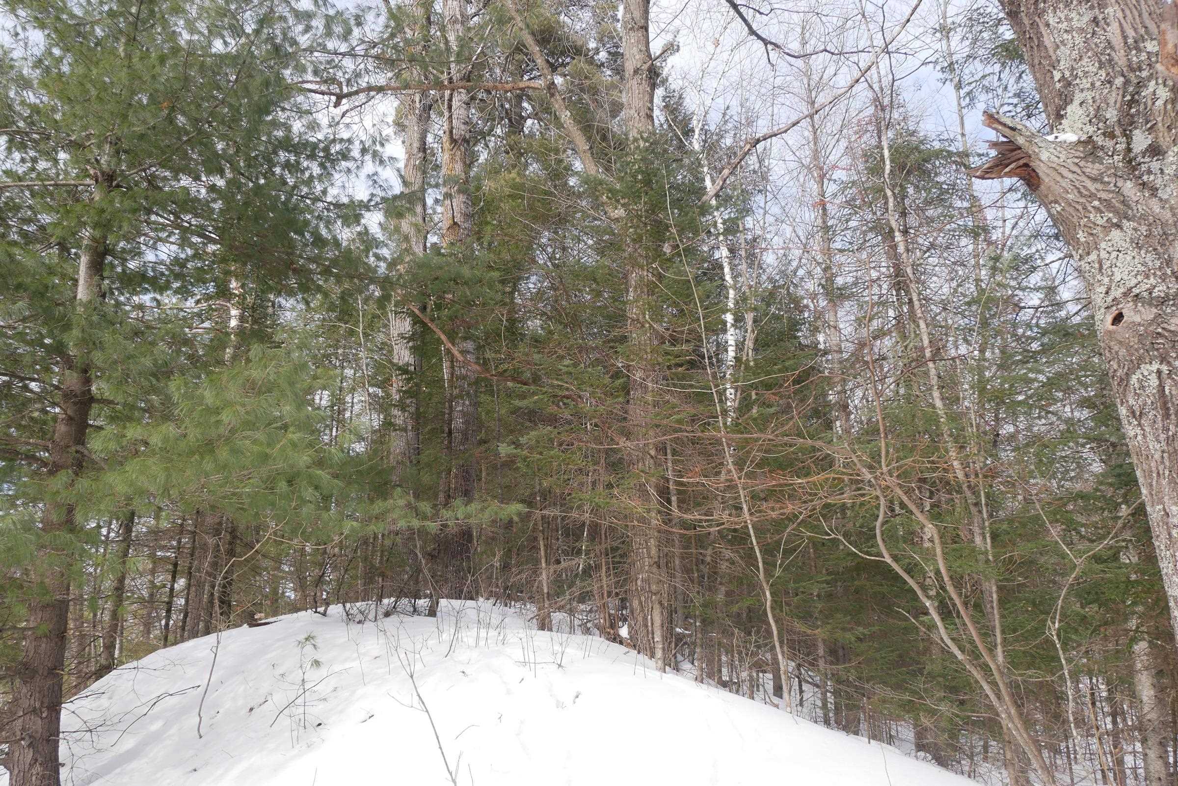 +/-.544 Acre SALEM LAKE ROAD, Medford, Wisconsin 54451, ,Land,For Sale,+/-.544 Acre SALEM LAKE ROAD,22600442