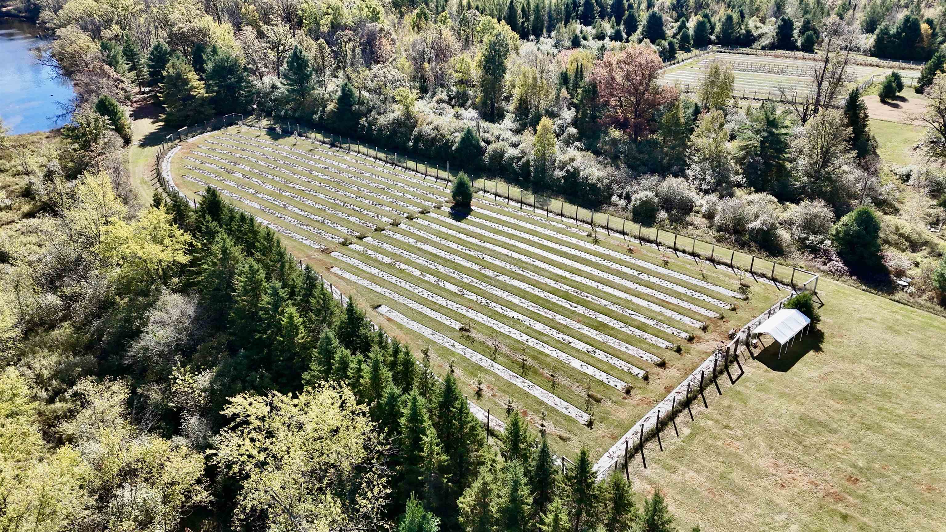 W6098 E STELLING ROAD, Tomahawk, Wisconsin 54487, ,Commercial/industrial,For Sale,W6098 E STELLING ROAD,22600445