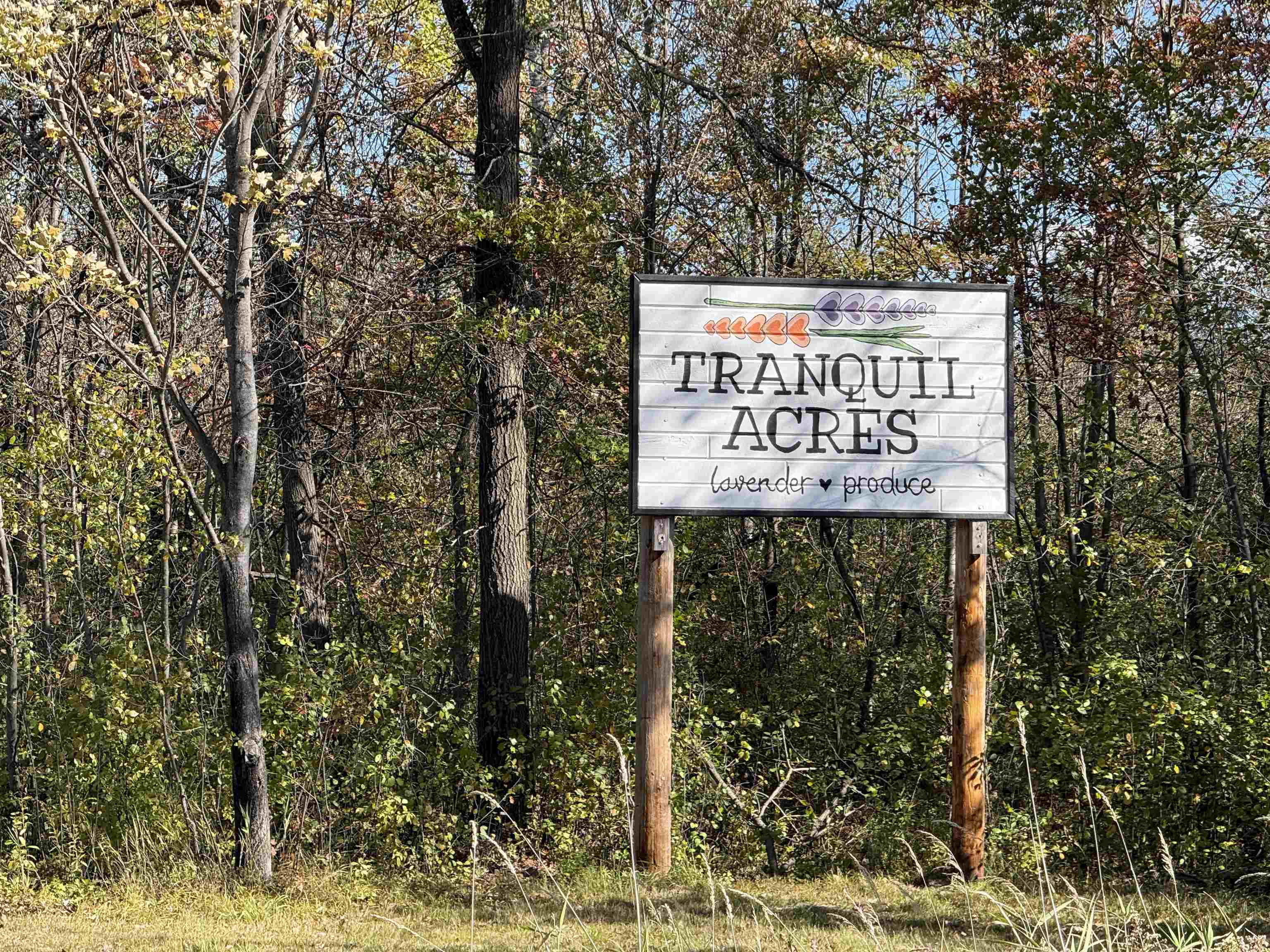 W6098 E STELLING ROAD, Tomahawk, Wisconsin 54487, 2 Bedrooms Bedrooms, ,1 BathroomBathrooms,Farm/agriculture,For Sale,W6098 E STELLING ROAD,22600446