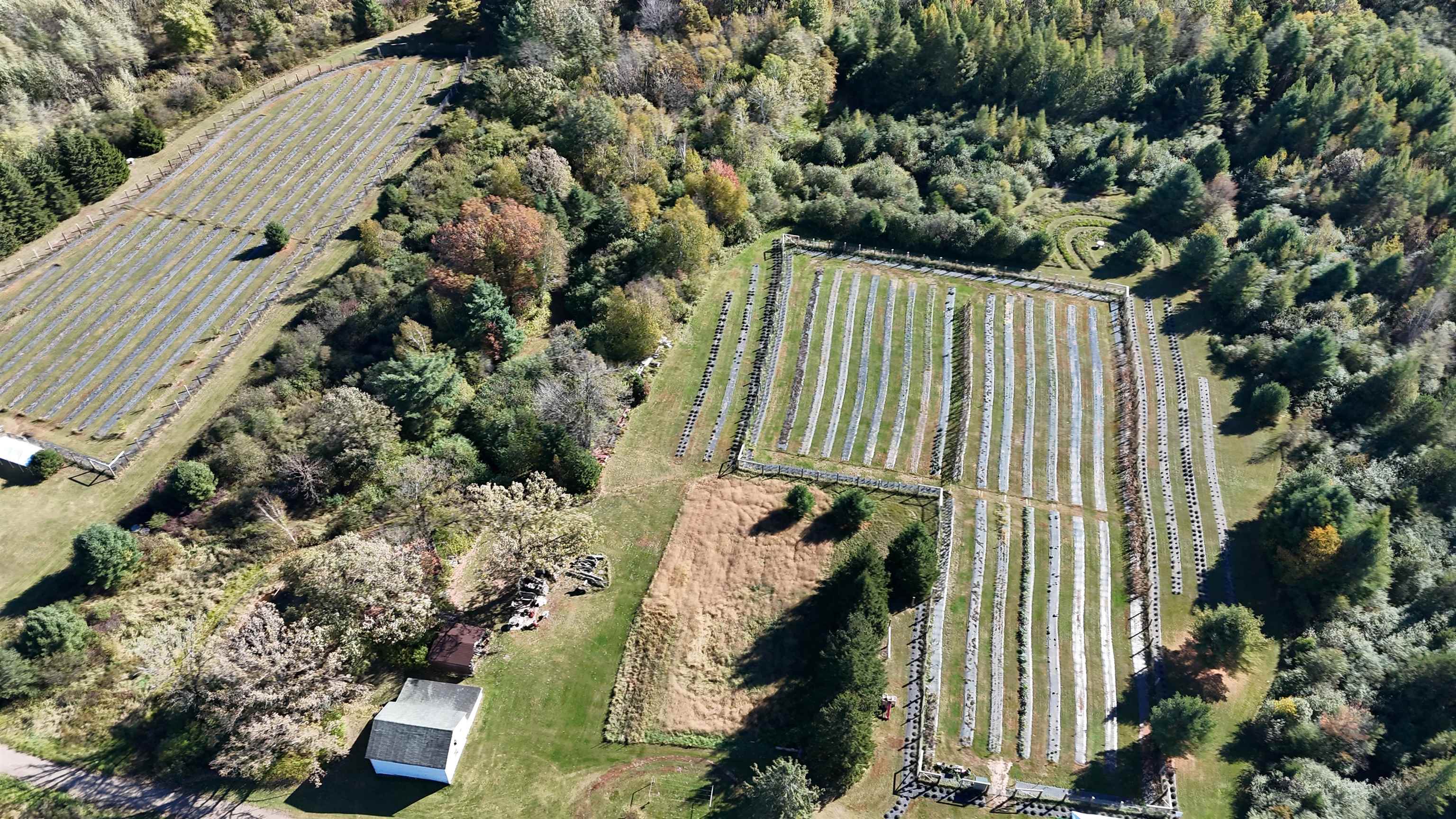 W6098 E STELLING ROAD, Tomahawk, Wisconsin 54487, 2 Bedrooms Bedrooms, ,1 BathroomBathrooms,Farm/agriculture,For Sale,W6098 E STELLING ROAD,22600446