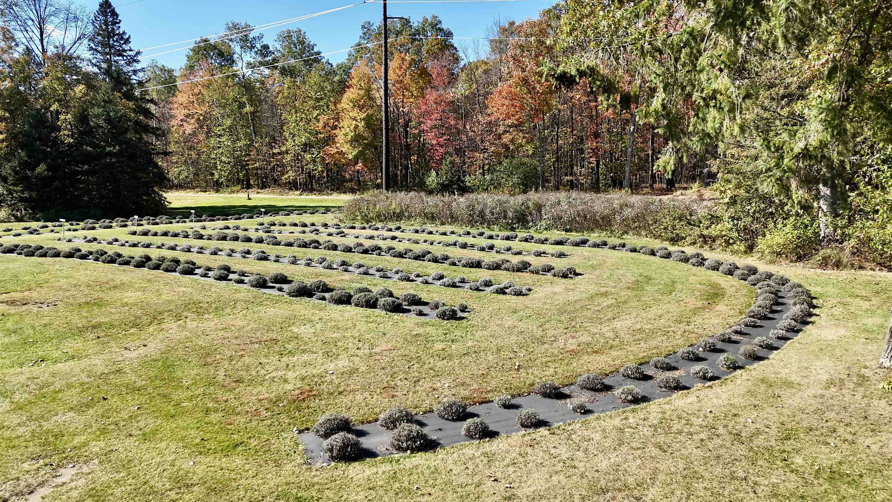 W6098 E STELLING ROAD, Tomahawk, Wisconsin 54487, 2 Bedrooms Bedrooms, ,1 BathroomBathrooms,Farm/agriculture,For Sale,W6098 E STELLING ROAD,22600446