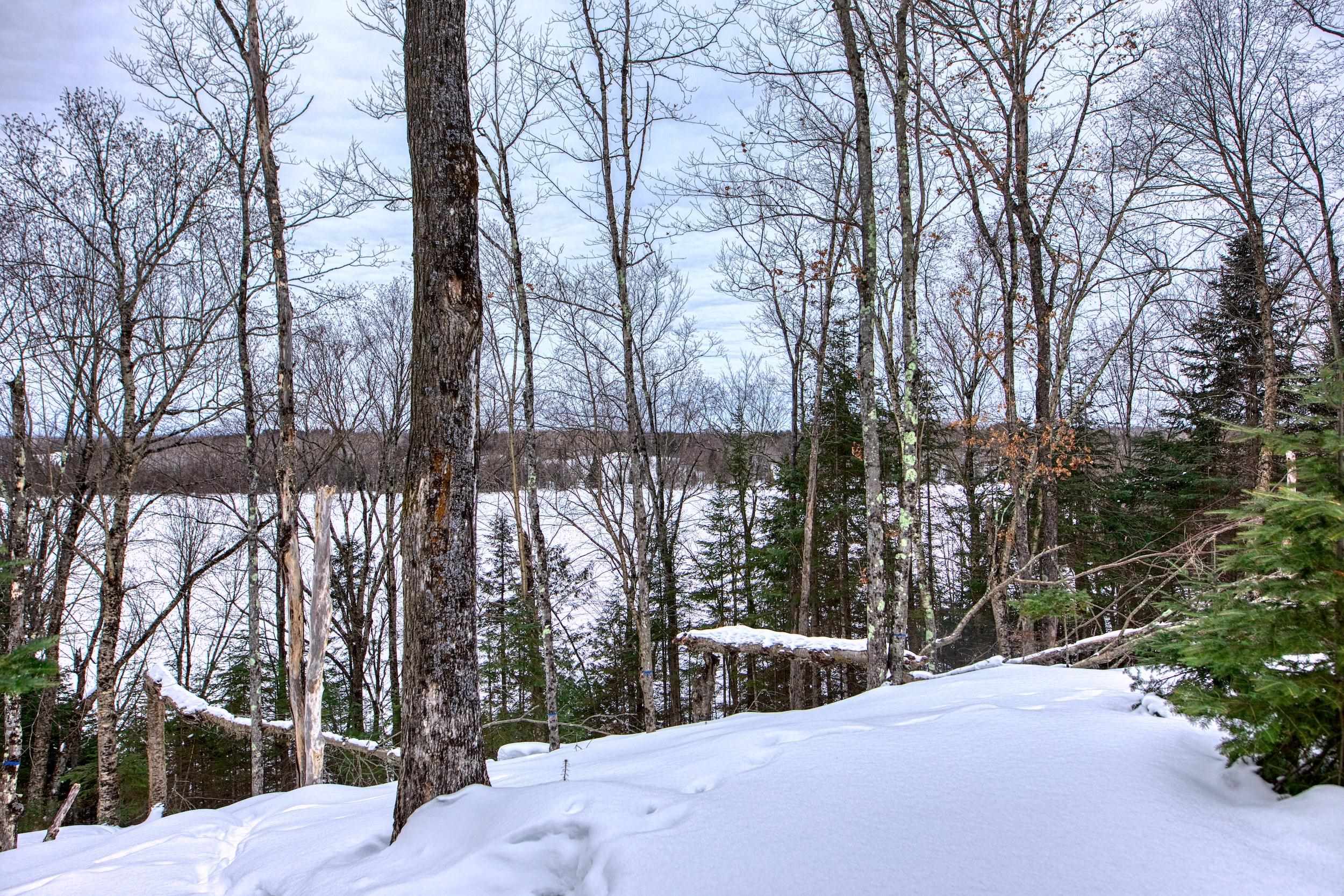 N16381 SAND COVE POINTE ROAD, Park Falls, Wisconsin 54552, ,Land,For Sale,N16381 SAND COVE POINTE ROAD,22600447