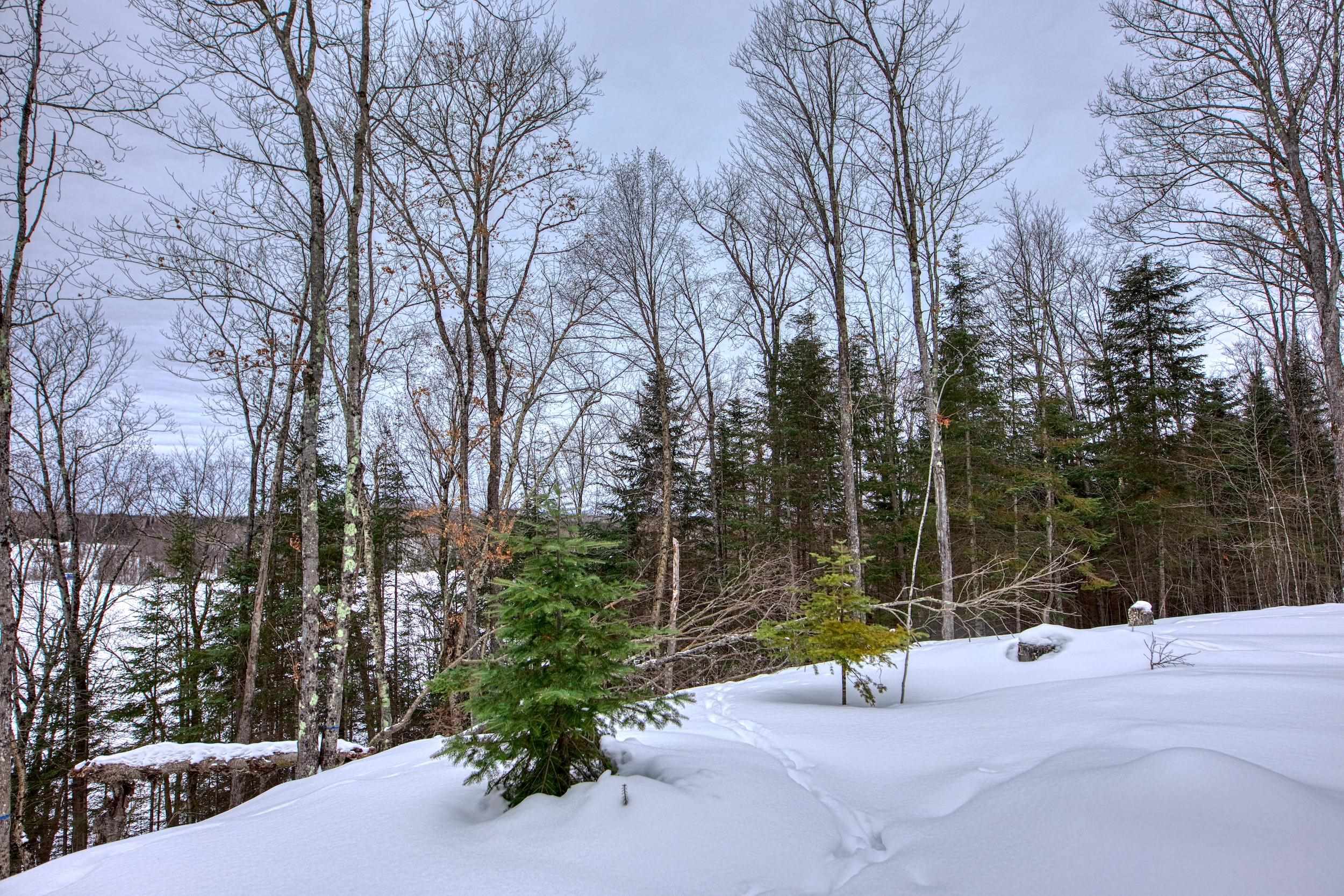 N16381 SAND COVE POINTE ROAD, Park Falls, Wisconsin 54552, ,Land,For Sale,N16381 SAND COVE POINTE ROAD,22600447