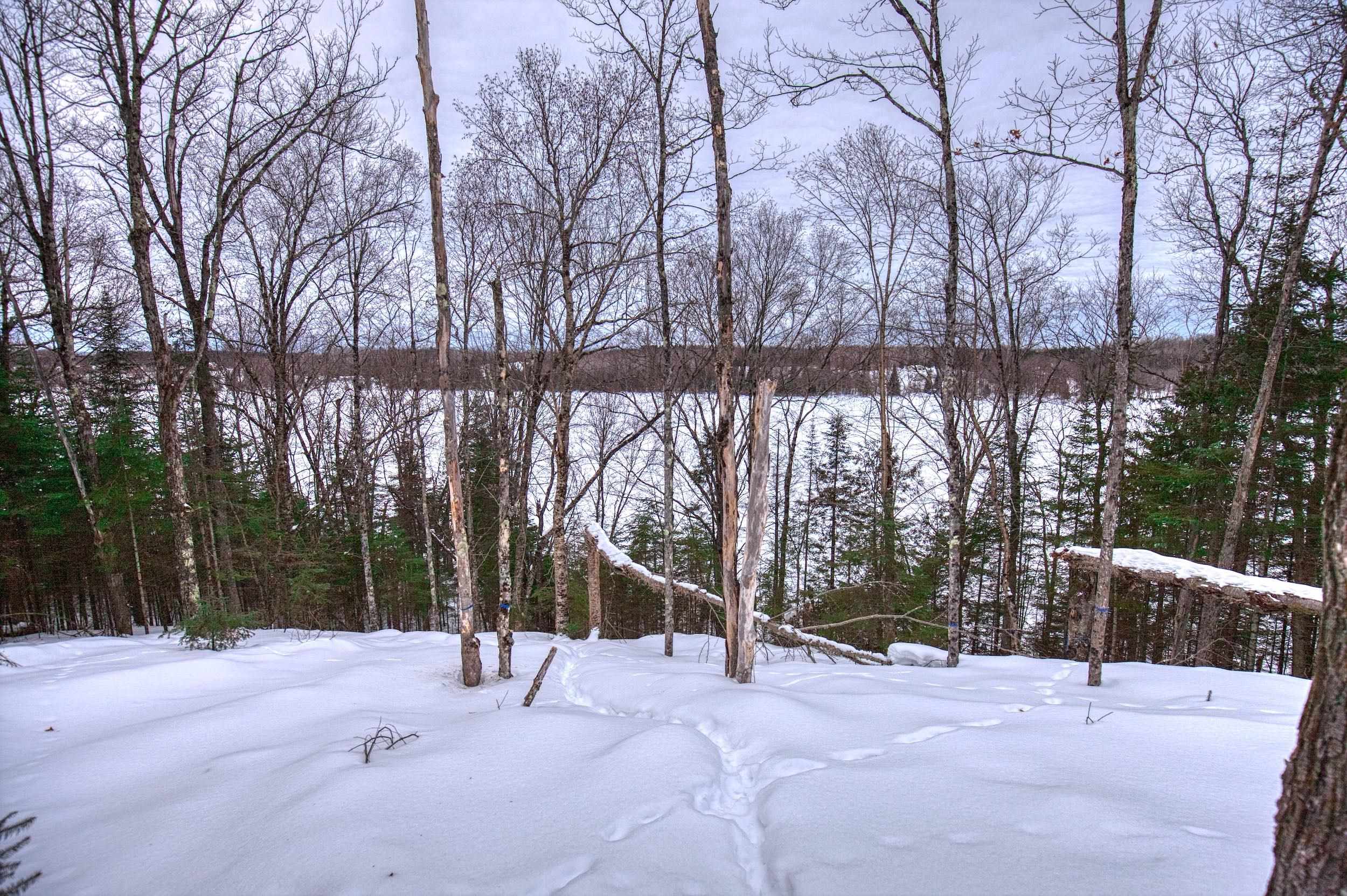 N16381 SAND COVE POINTE ROAD, Park Falls, Wisconsin 54552, ,Land,For Sale,N16381 SAND COVE POINTE ROAD,22600447